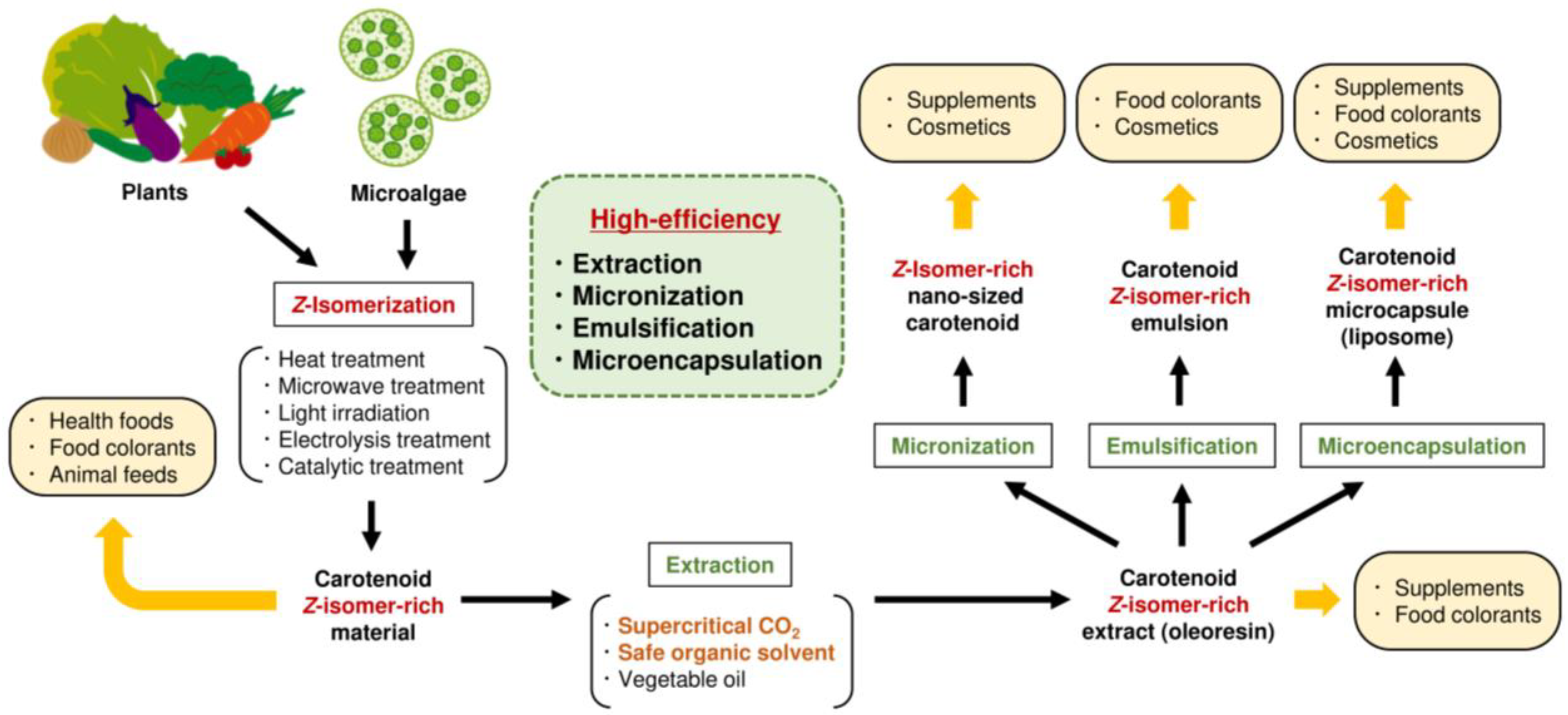 Molecules 24 02149 g005