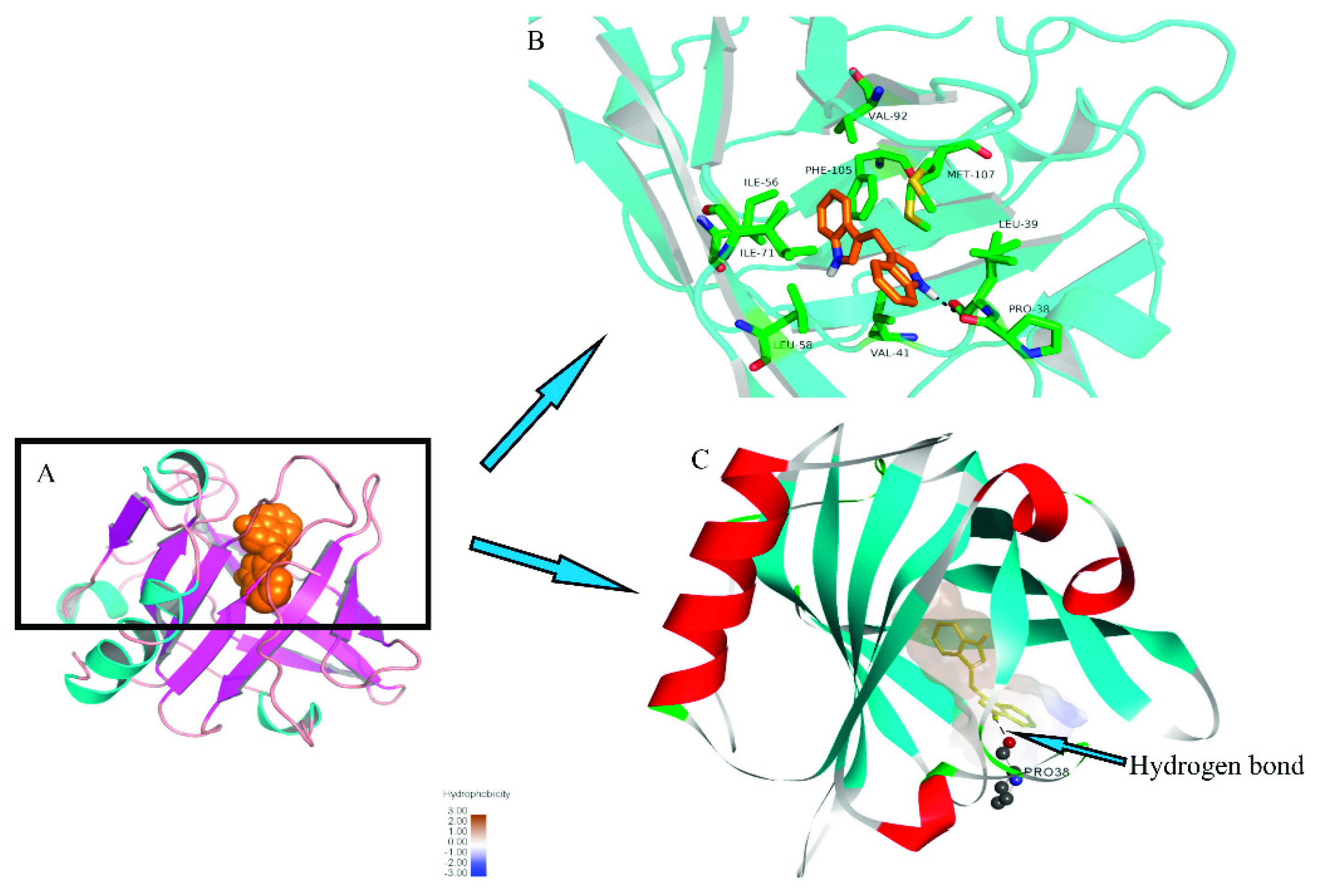 Molecules 24 02151 g005
