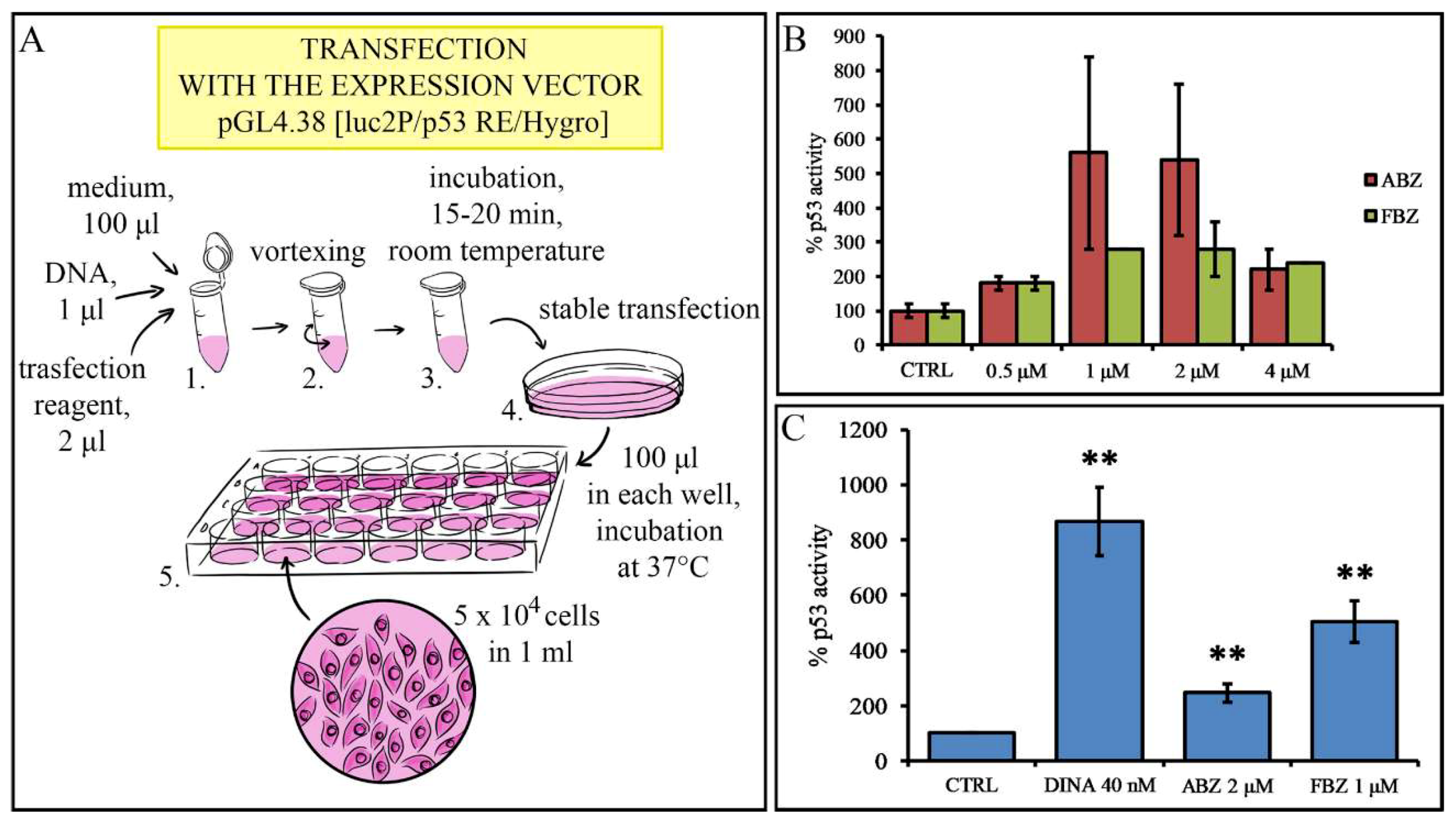 Molecules 24 02152 g002
