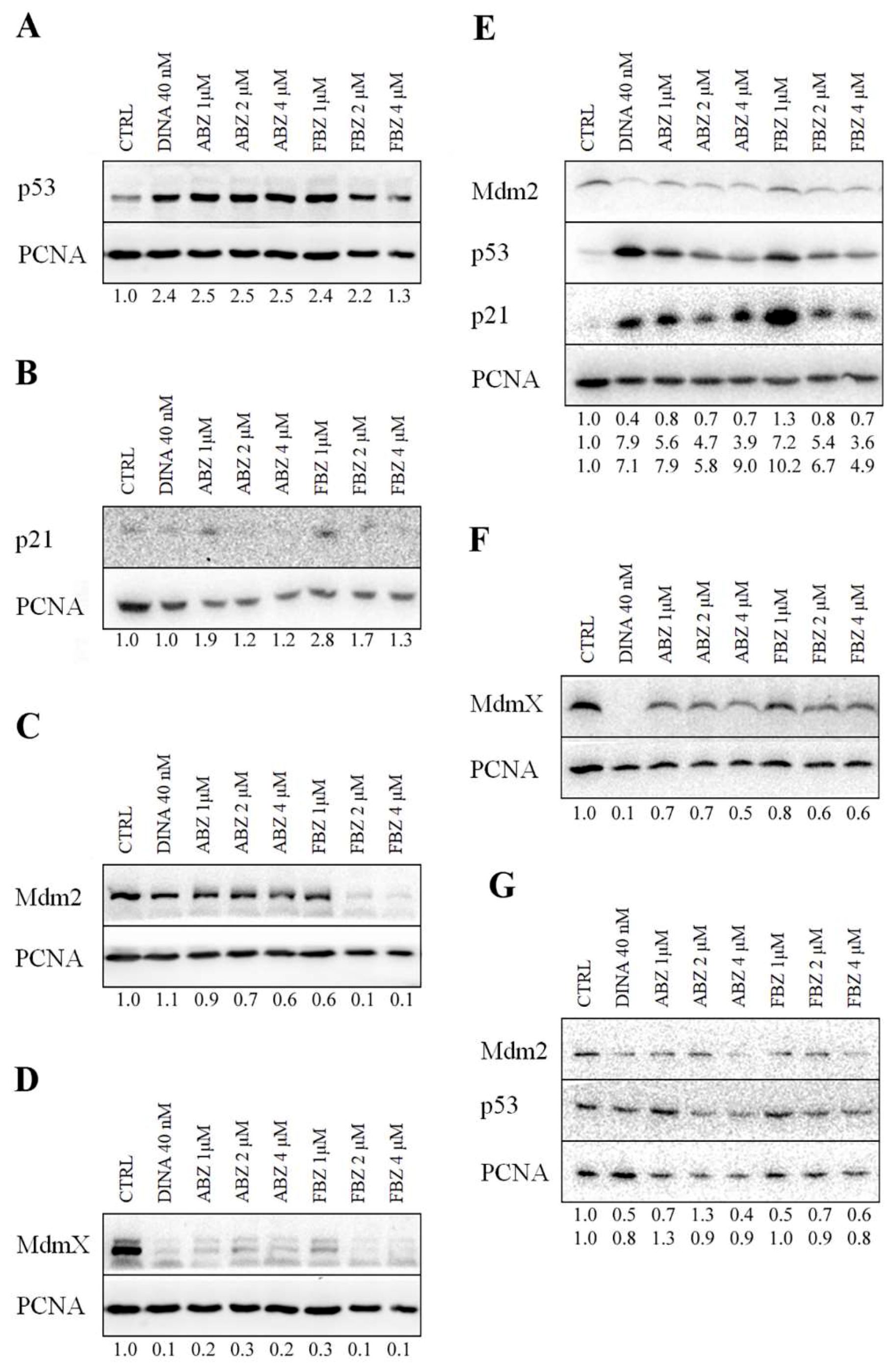 Molecules 24 02152 g003