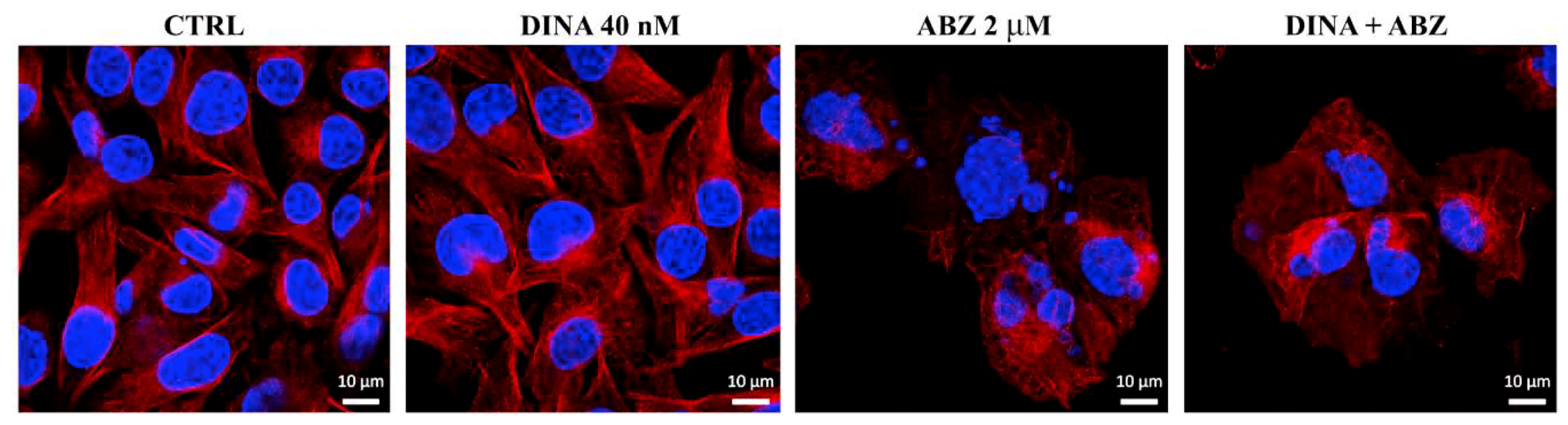 Molecules 24 02152 g004