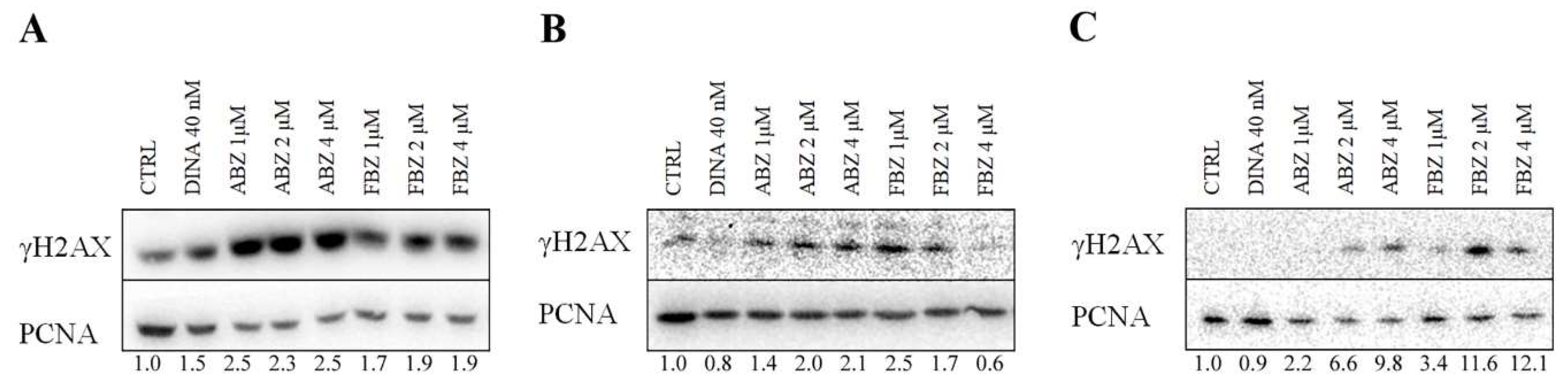 Molecules 24 02152 g006