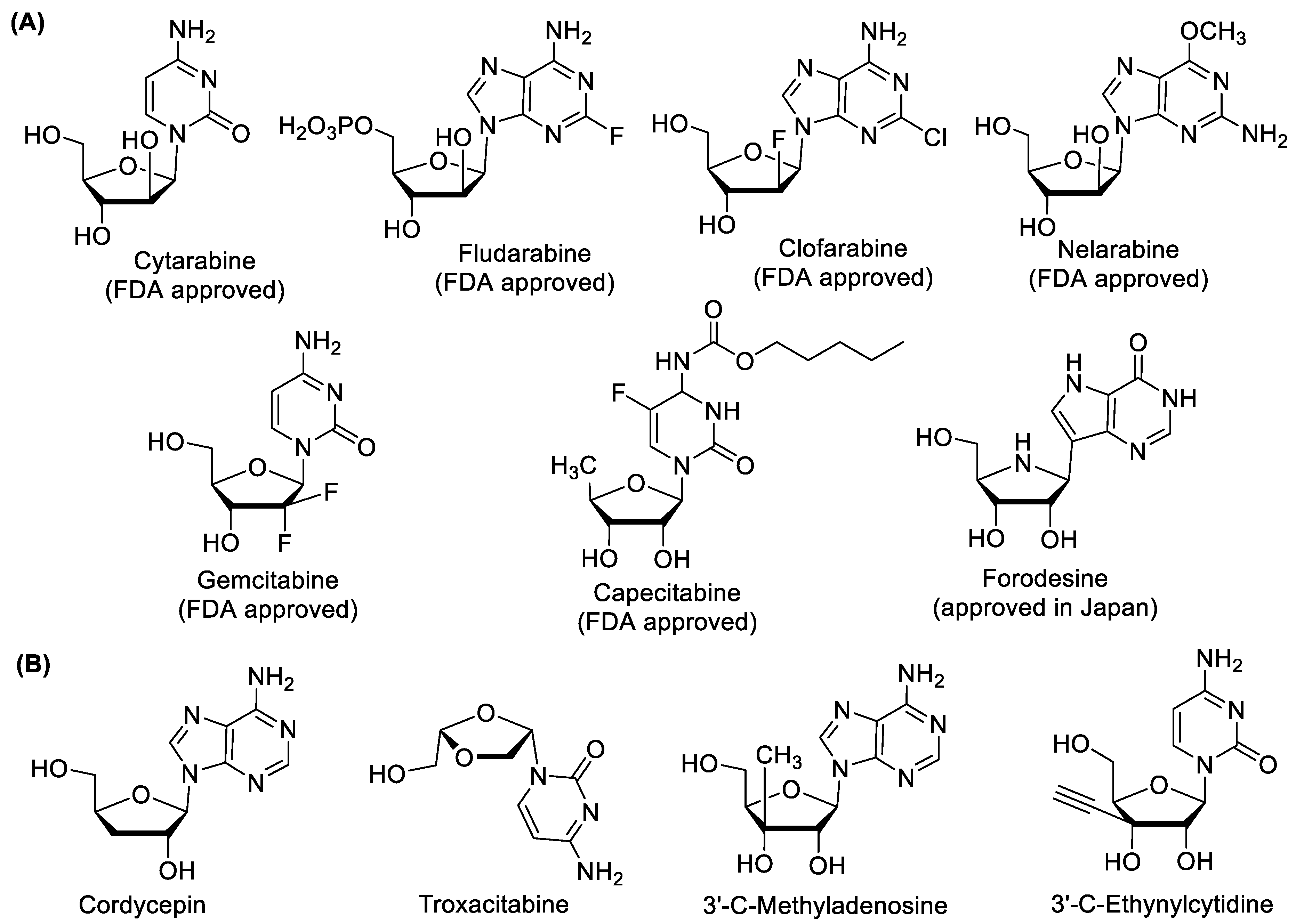 Molecules 24 02173 g001