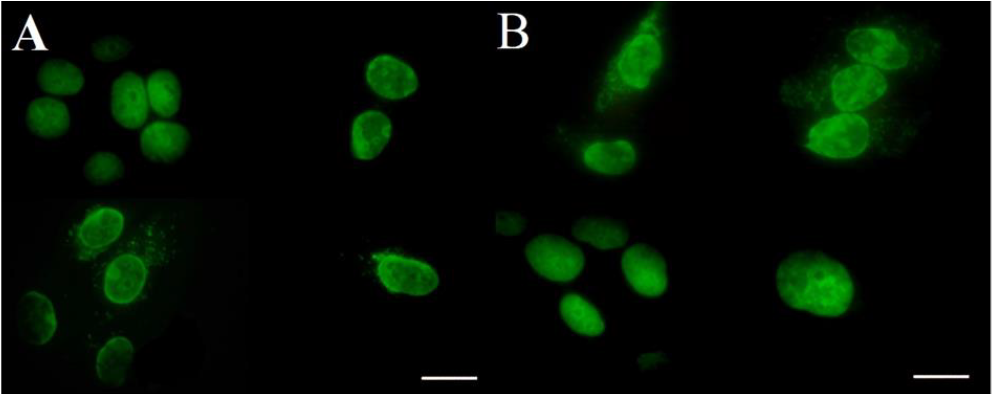 Molecules 24 02173 g007