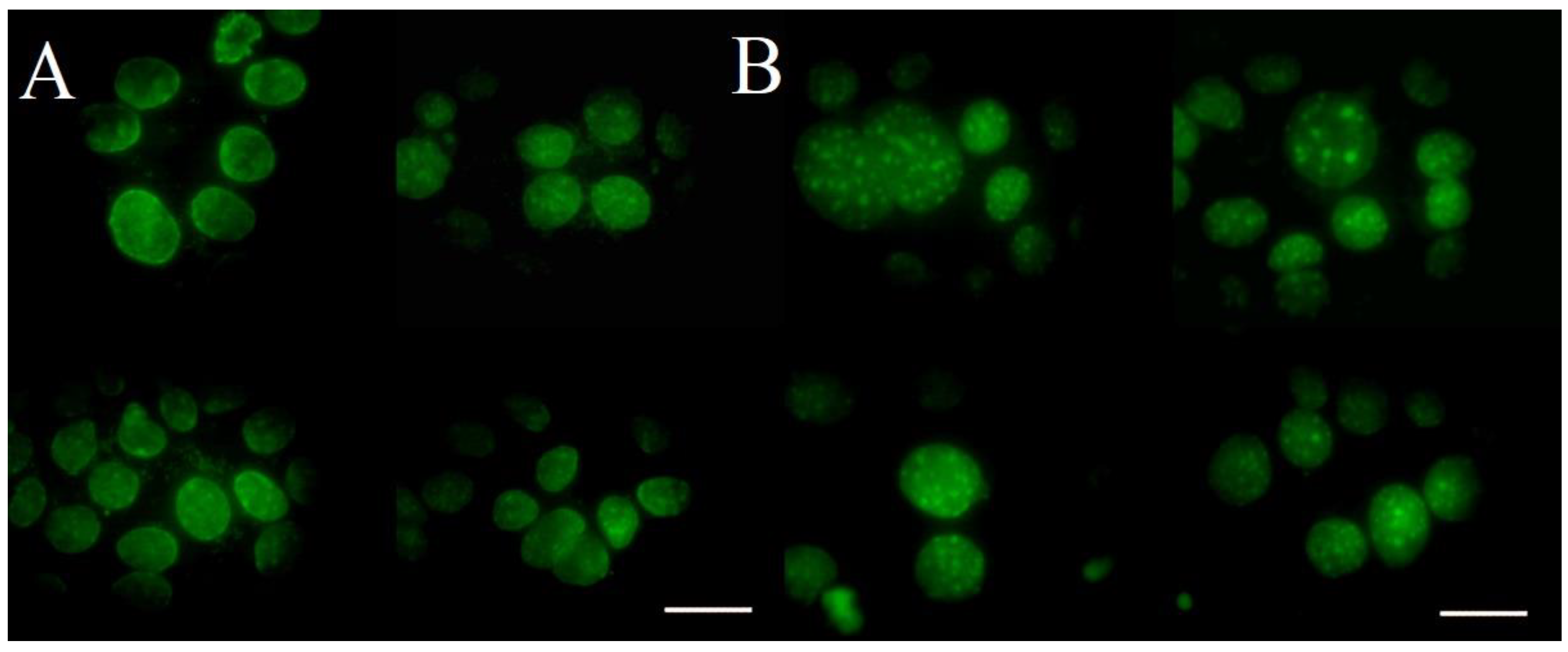 Molecules 24 02173 g008