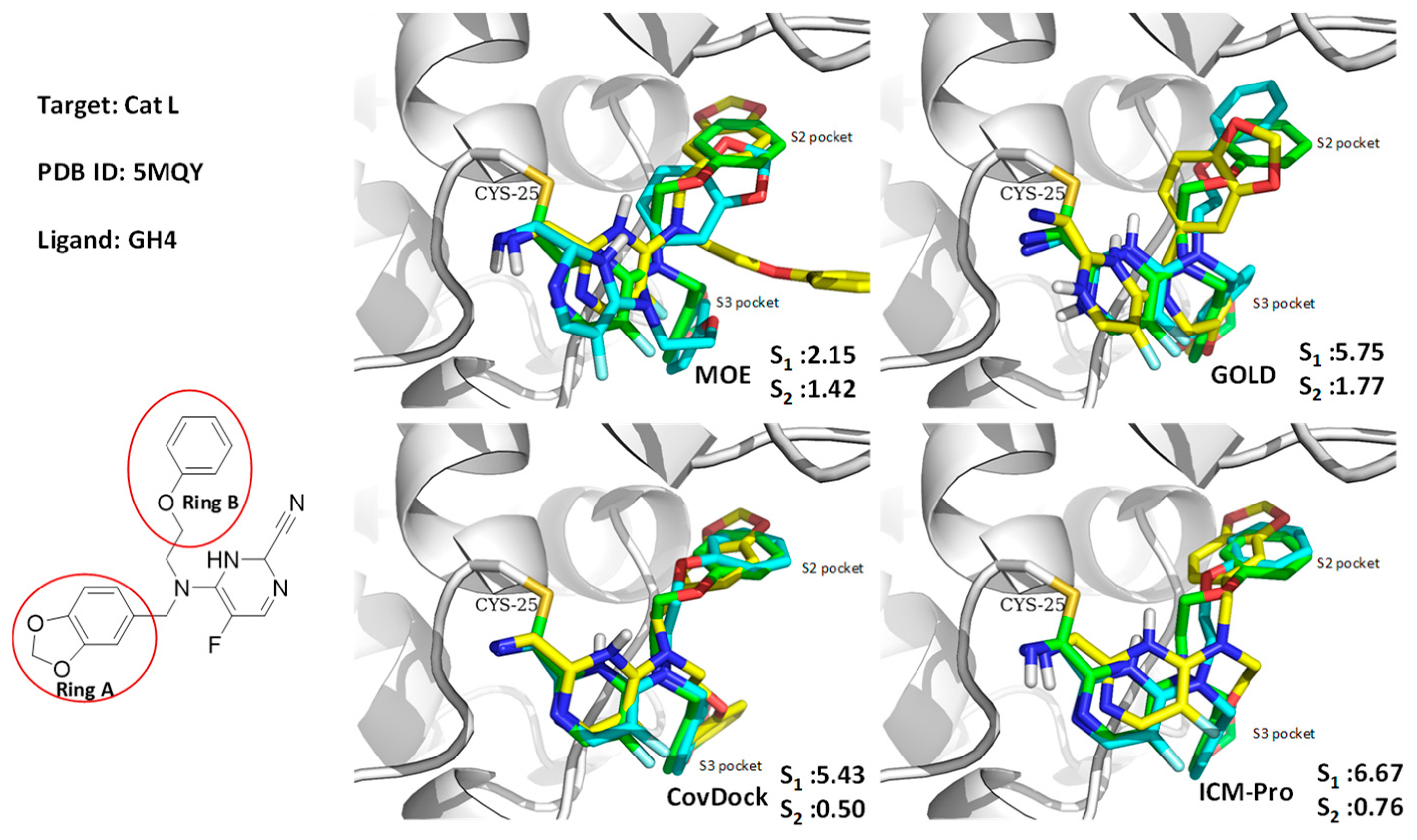 Molecules 24 02183 g008