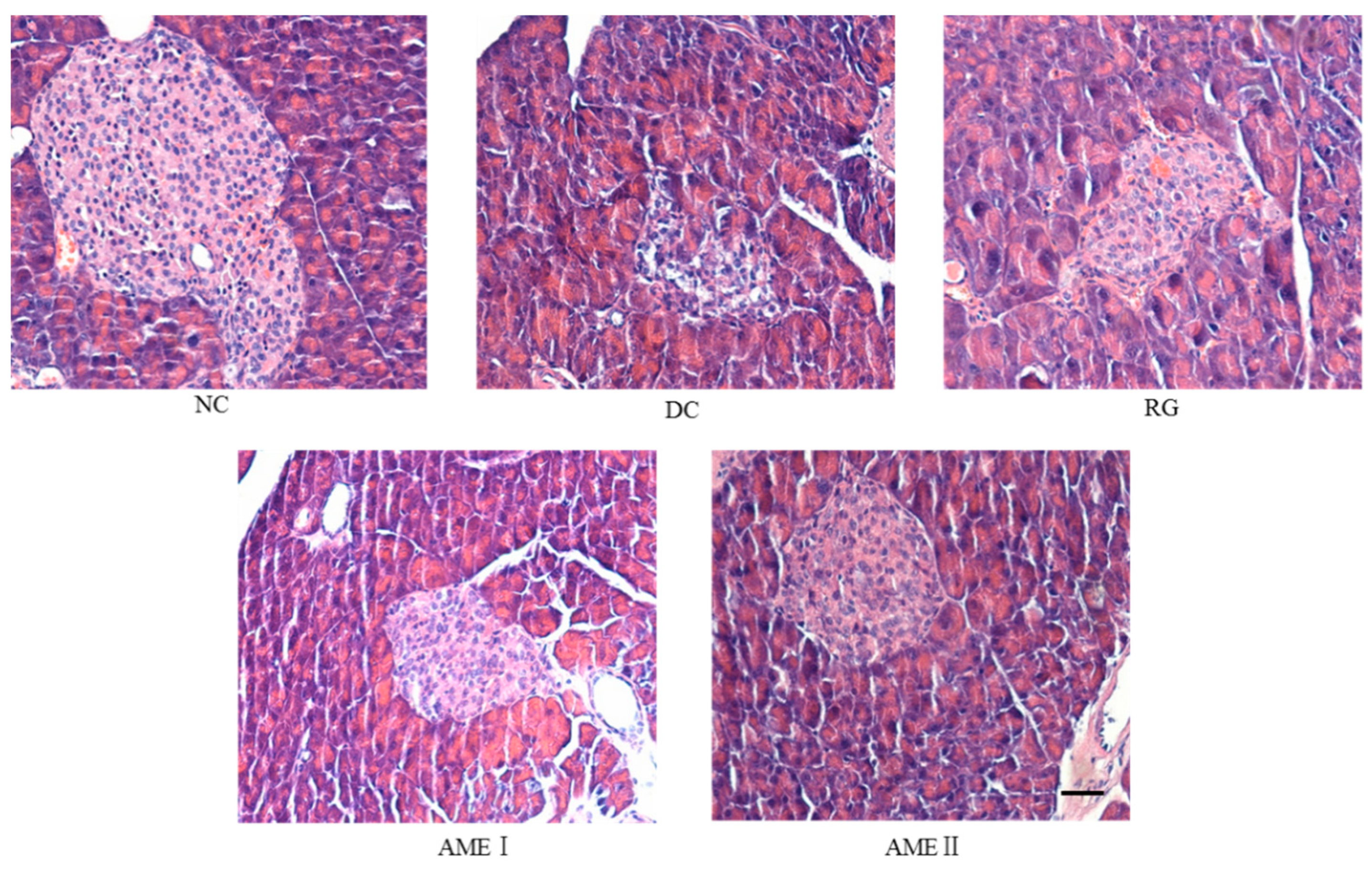 Molecules 24 02184 g002