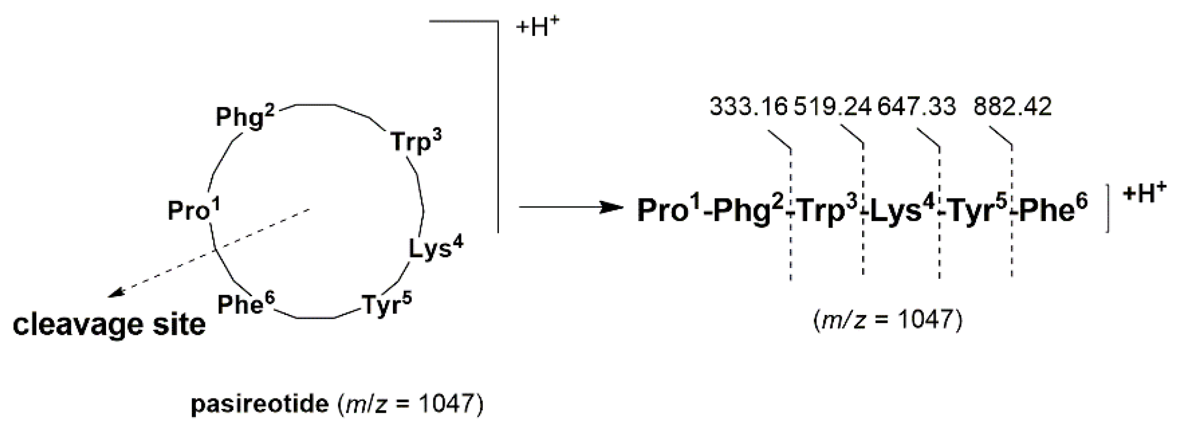 Molecules 24 02185 sch006
