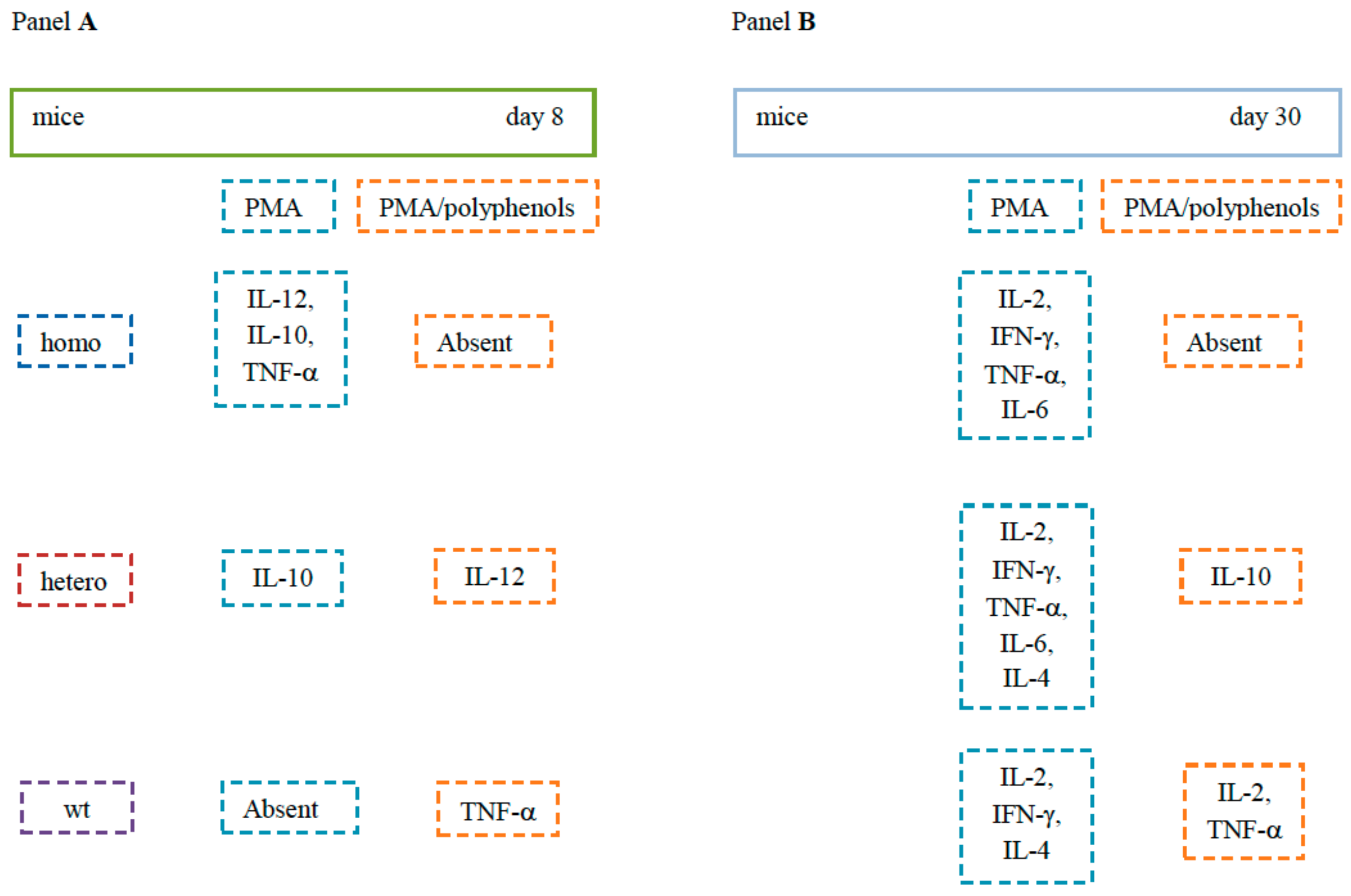 Molecules 24 02205 g008