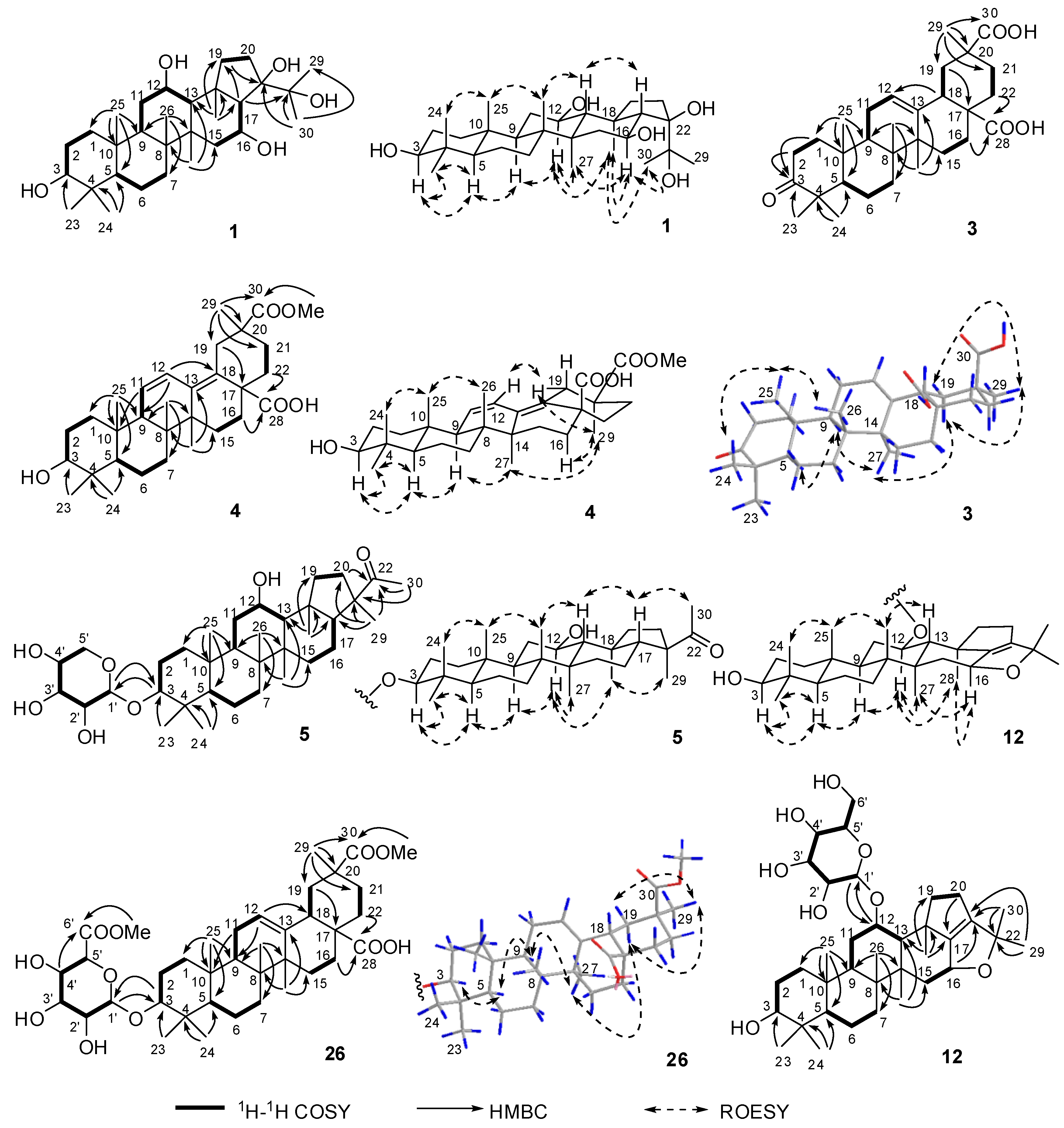 Molecules 24 02206 g002