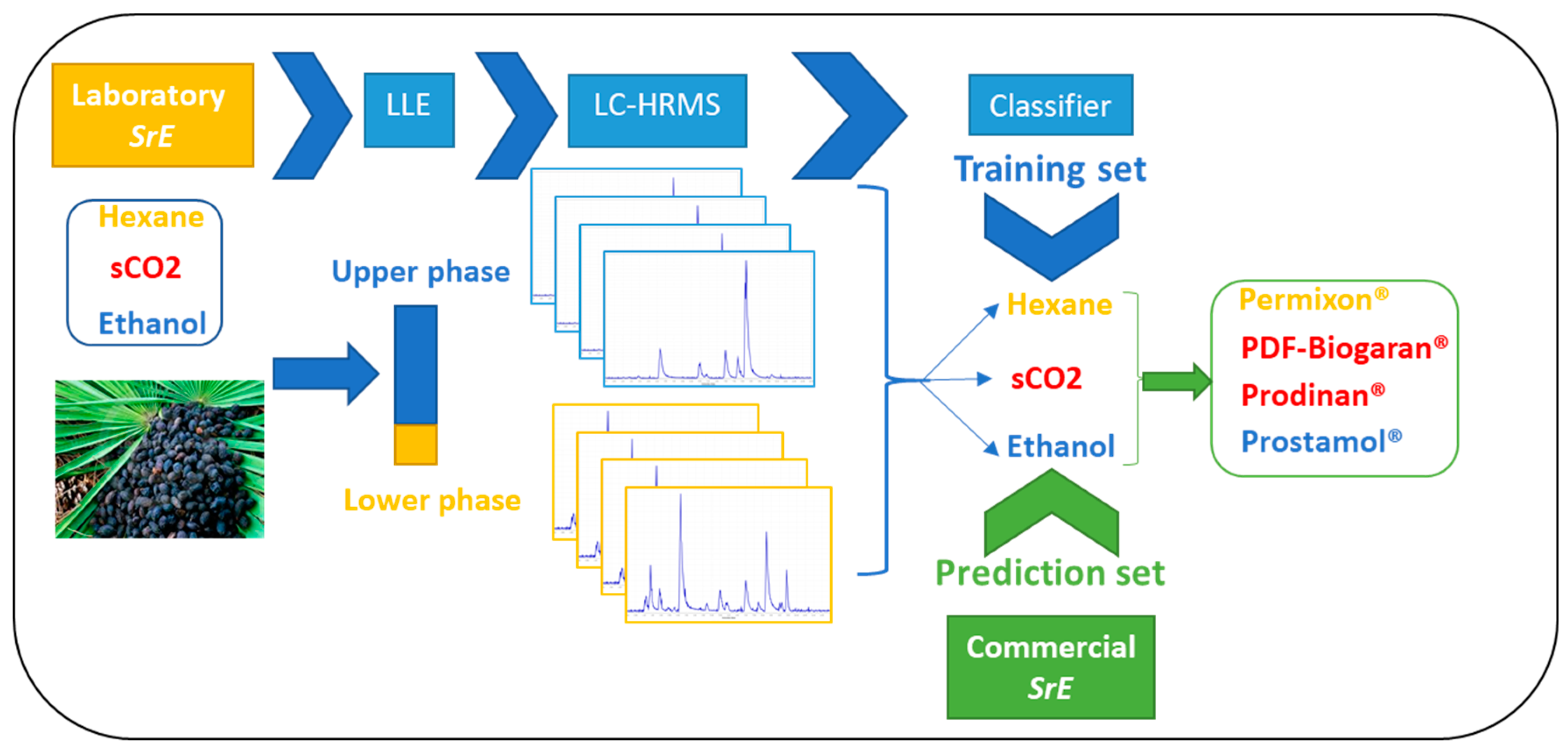 Molecules 24 02208 g001