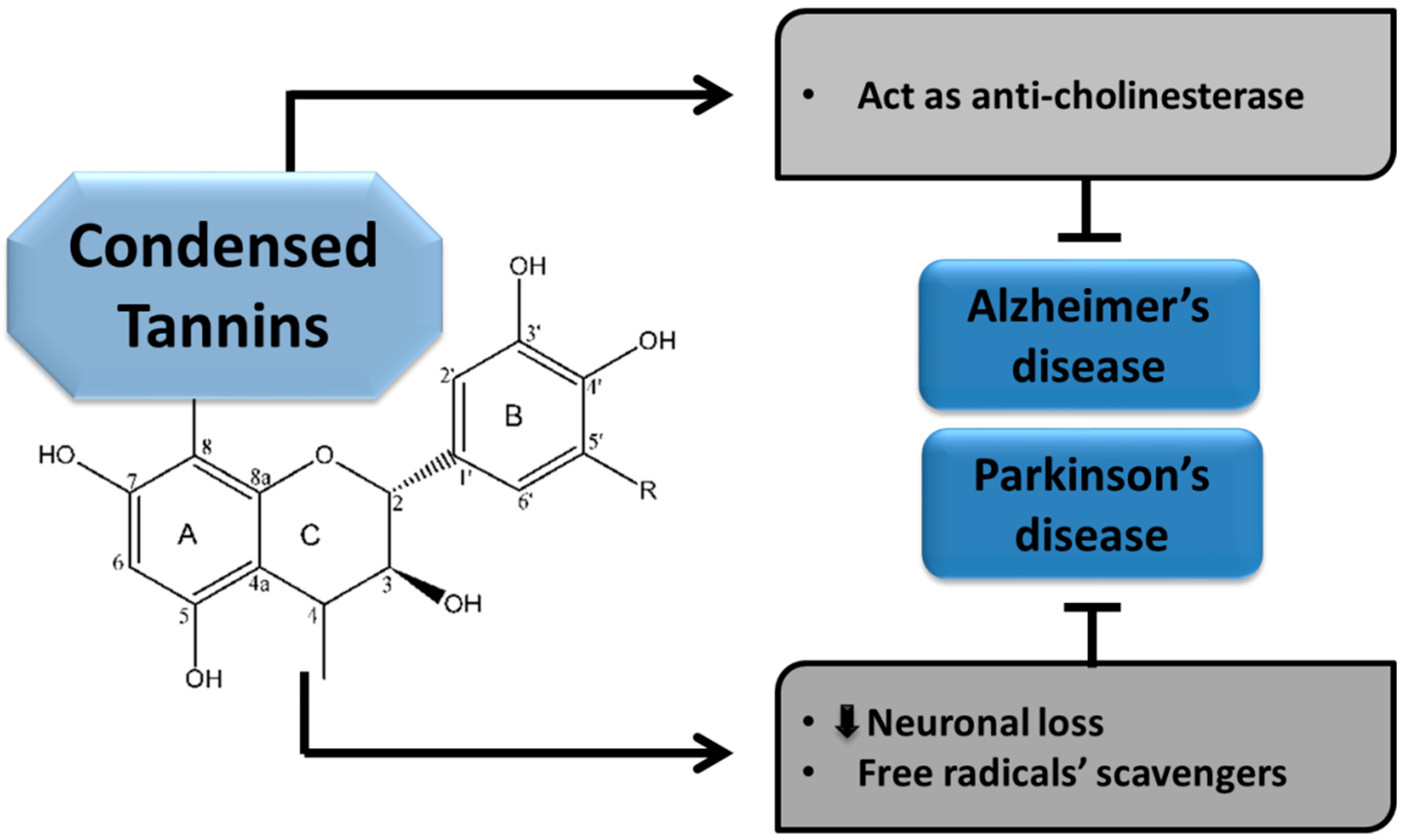 Molecules 24 02213 g005