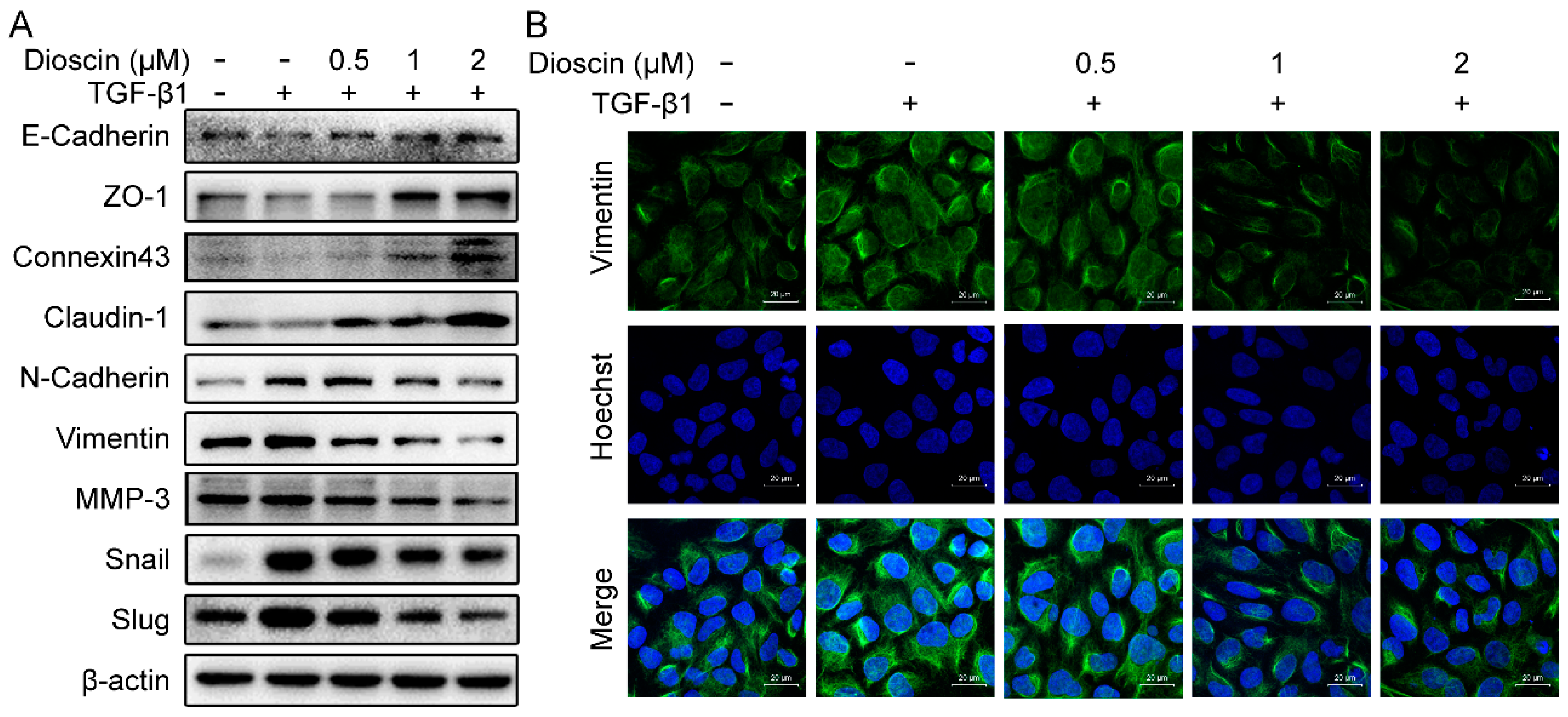 Molecules 24 02222 g003