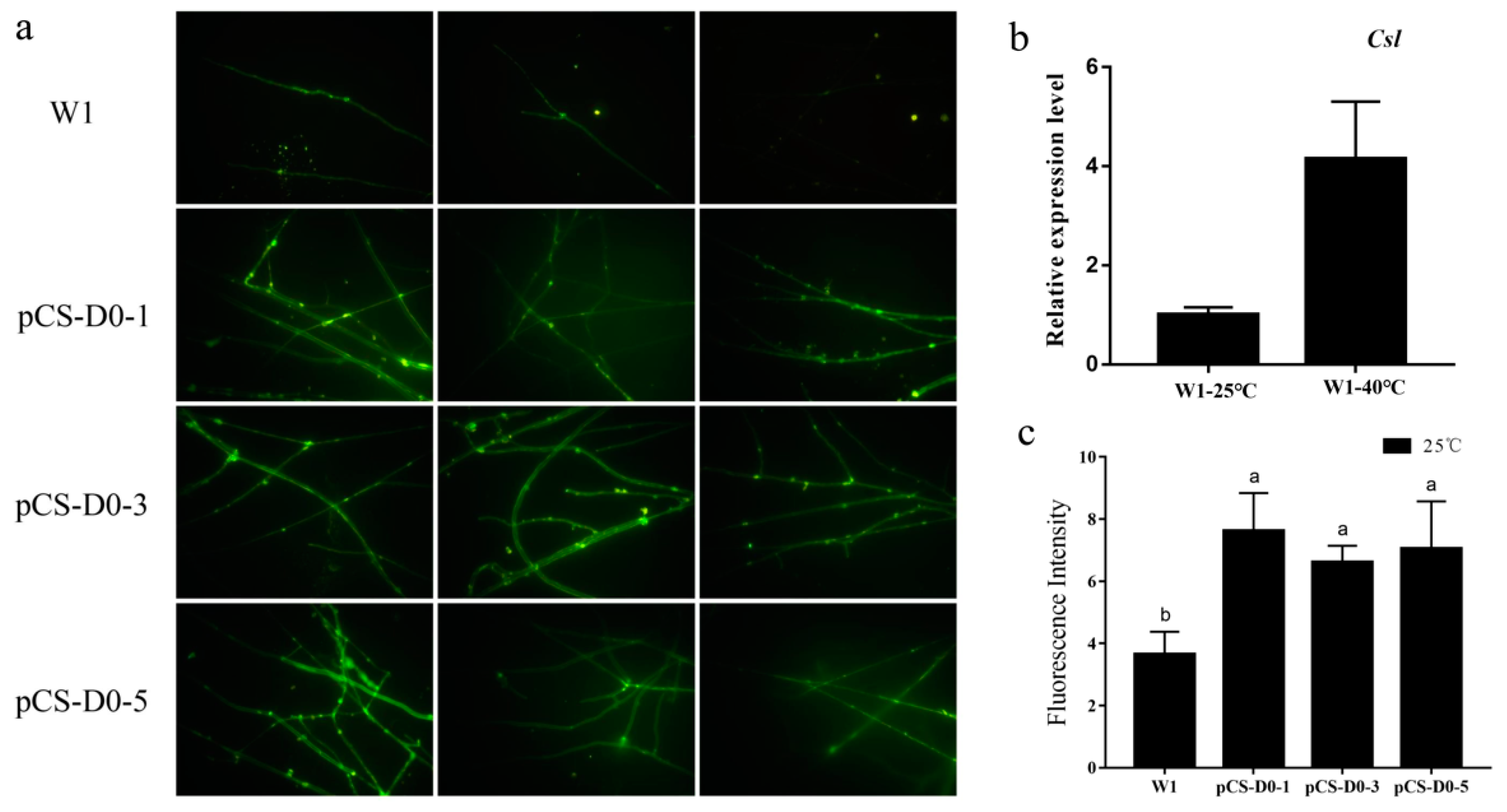 Molecules 24 02223 g001 Molecules 24 02223 g001