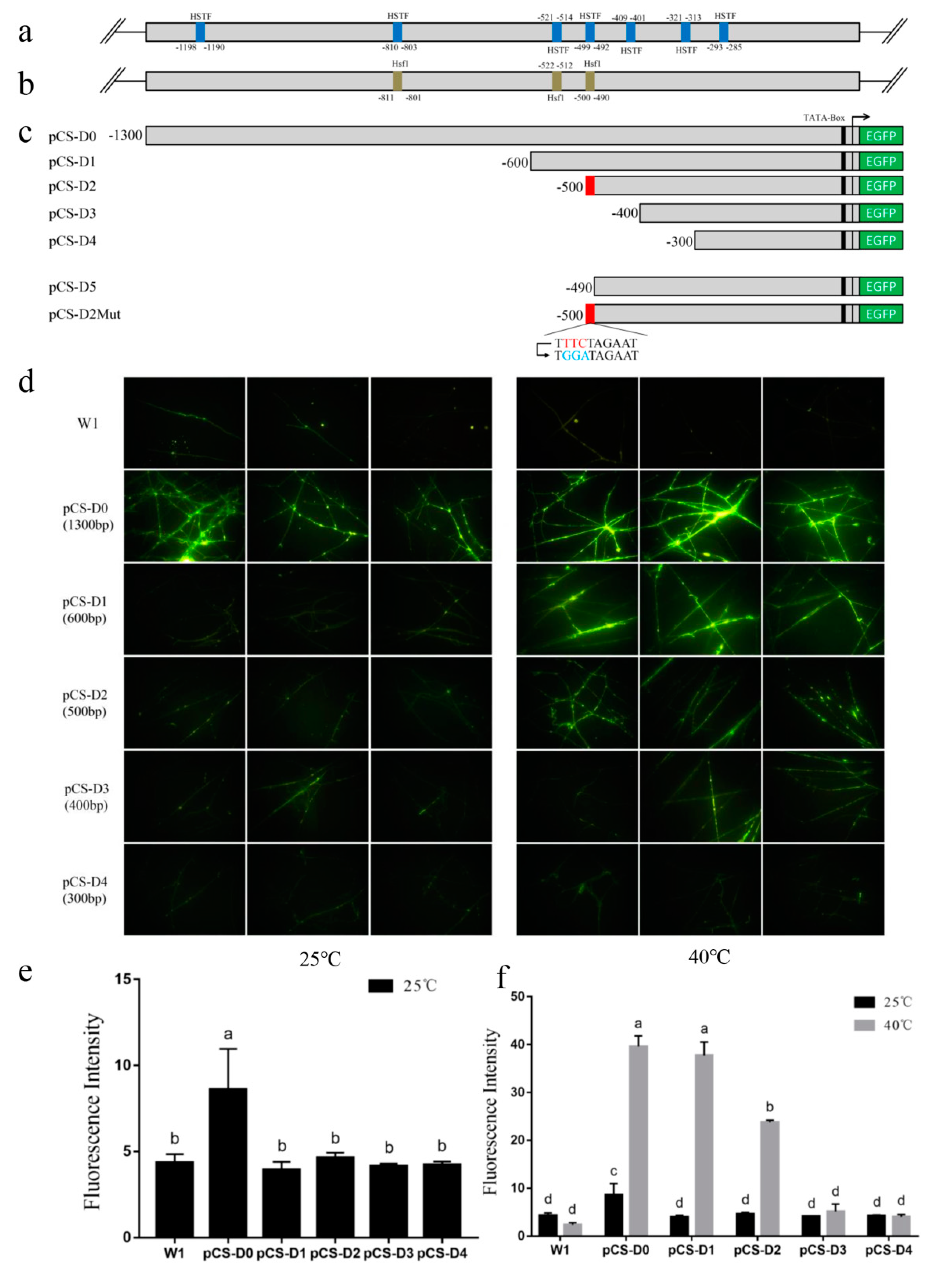 Molecules 24 02223 g002 Molecules 24 02223 g002
