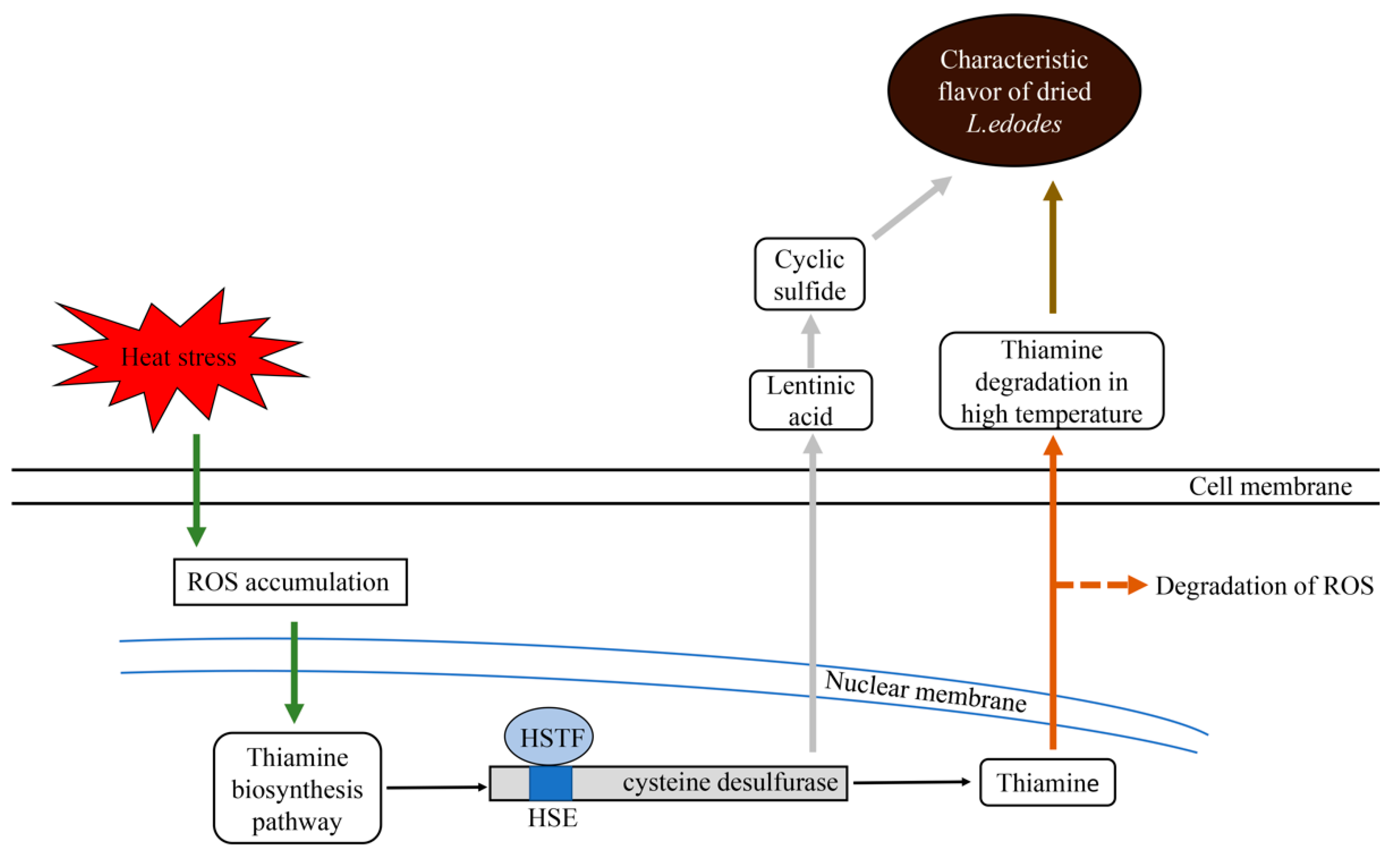 Molecules 24 02223 g004 Molecules 24 02223 g004