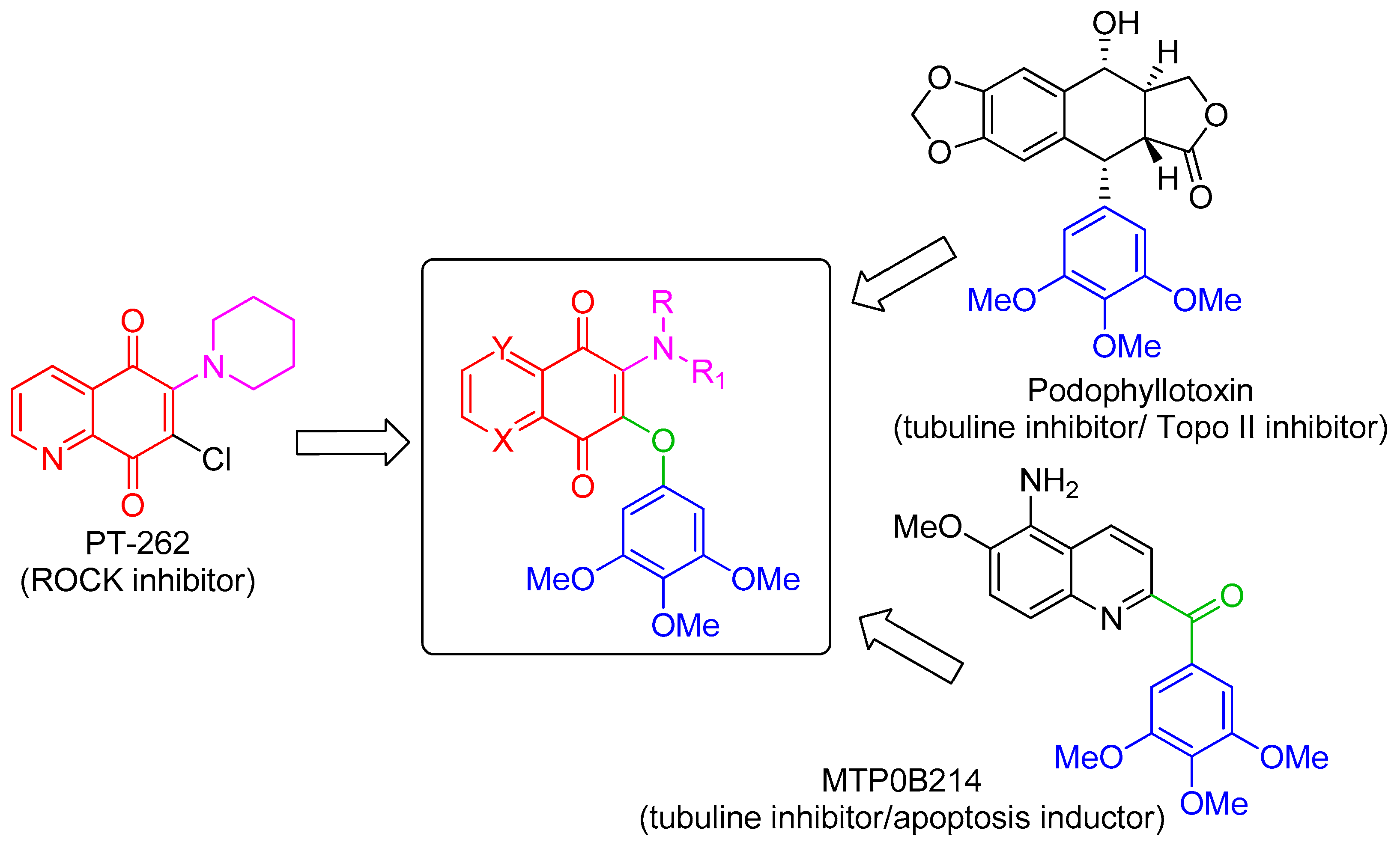 Molecules 24 02224 g001