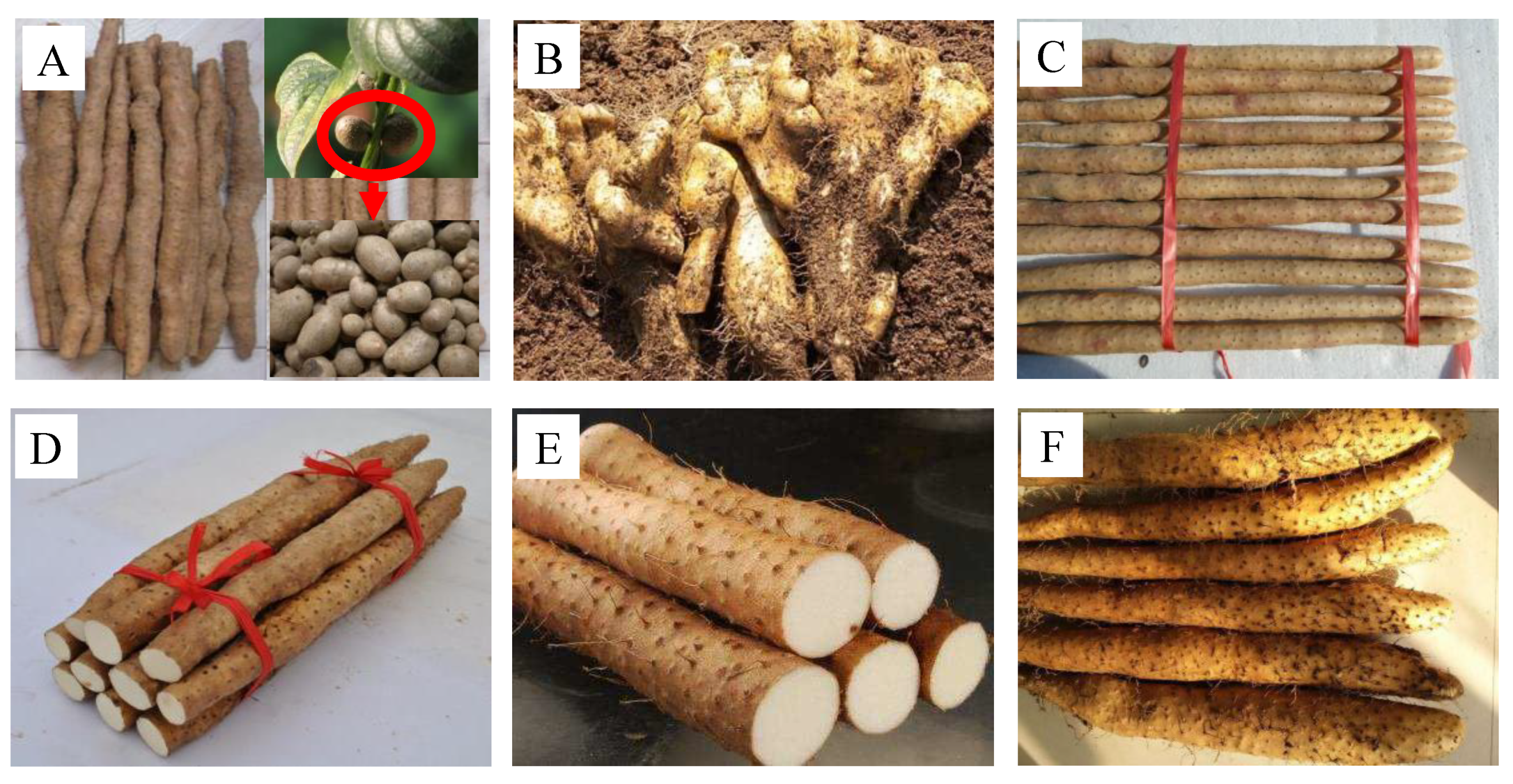 Molecules 24 02232 g008 Molecules 24 02232 g008