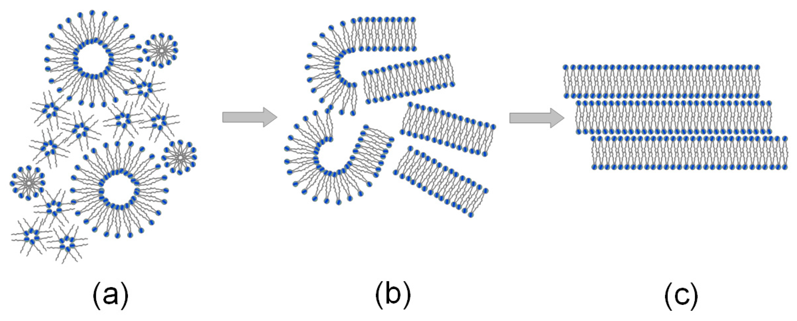 Molecules 24 02248 g001