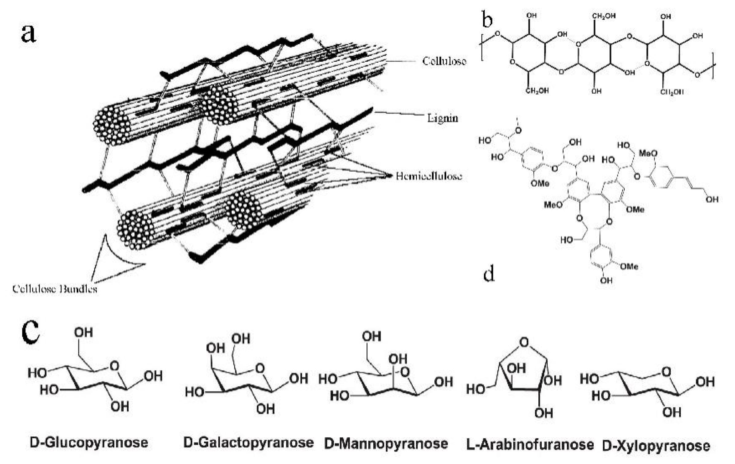 Molecules 24 02250 g001