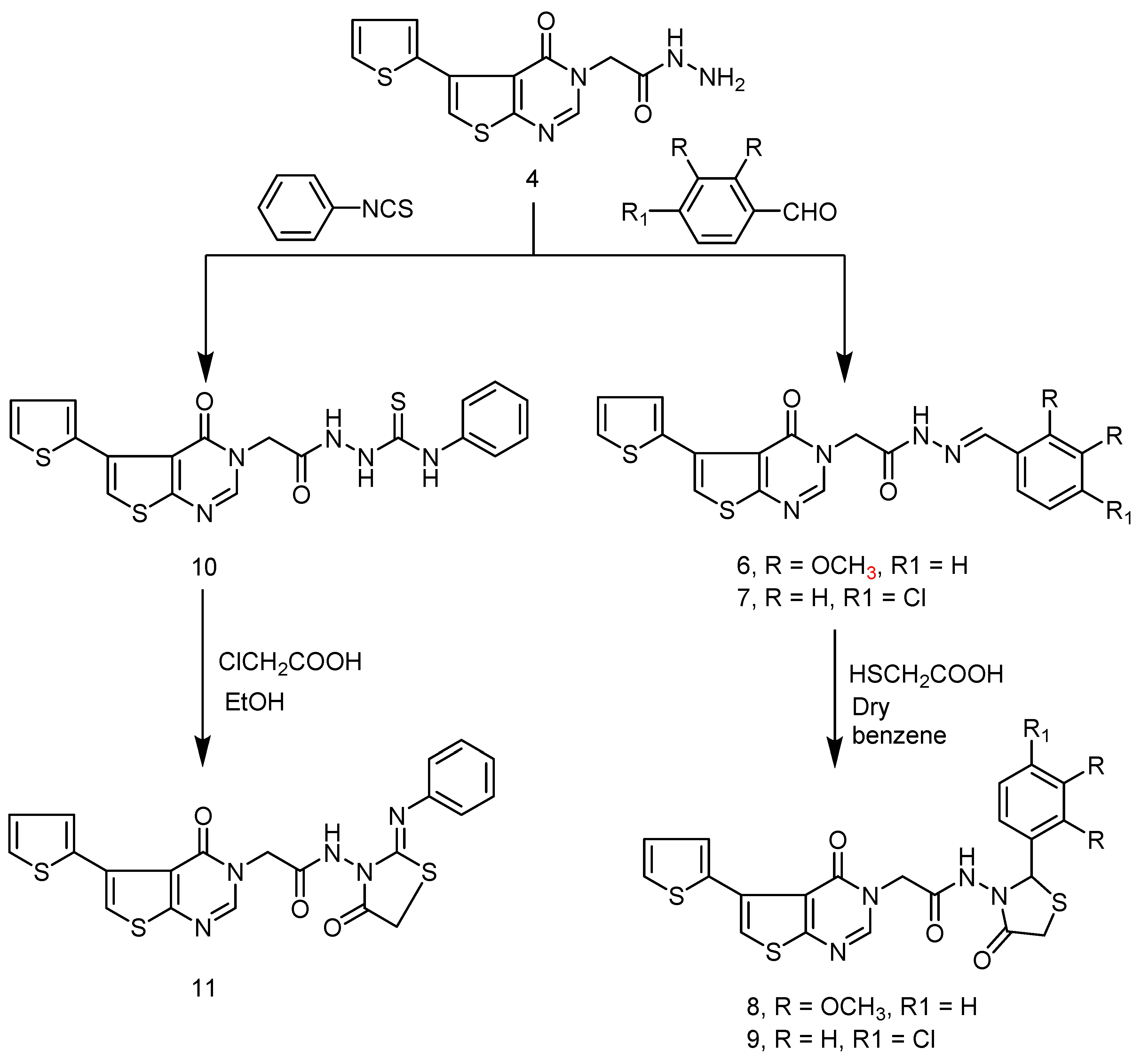 Molecules 24 02255 sch002