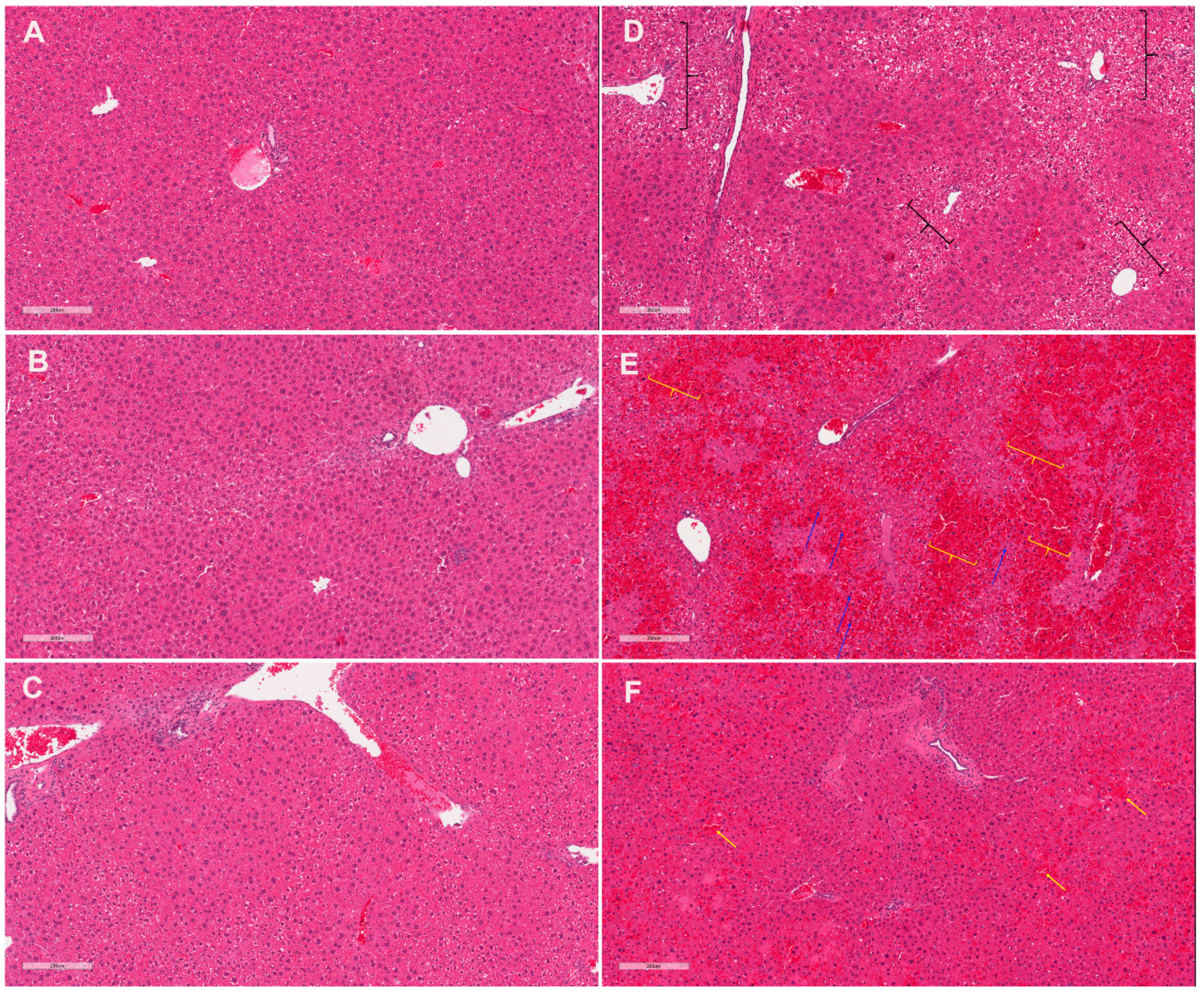 Molecules 24 02256 g001