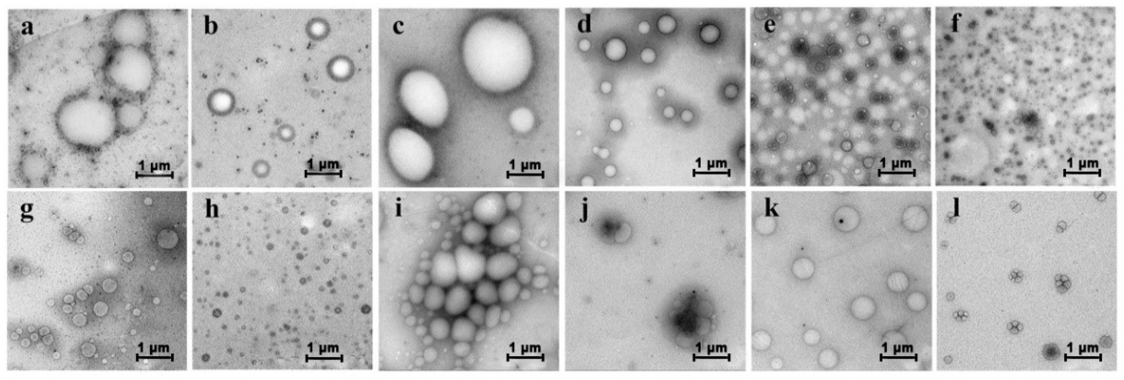 Molecules 24 02264 g002