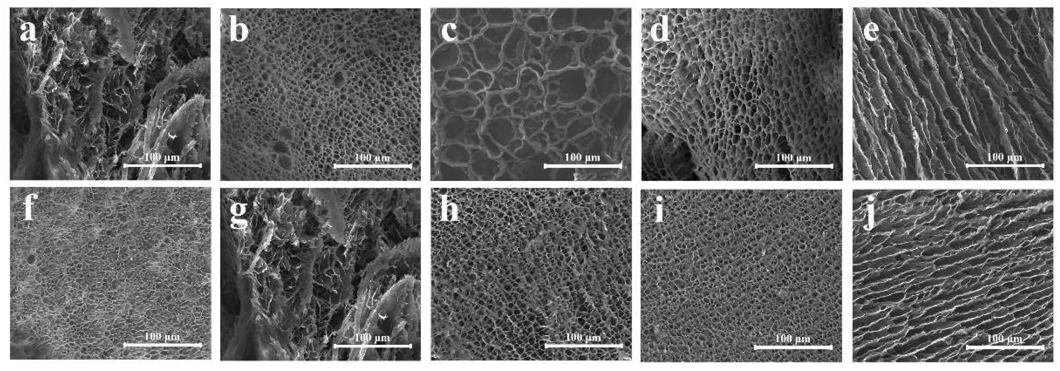 Molecules 24 02264 g006