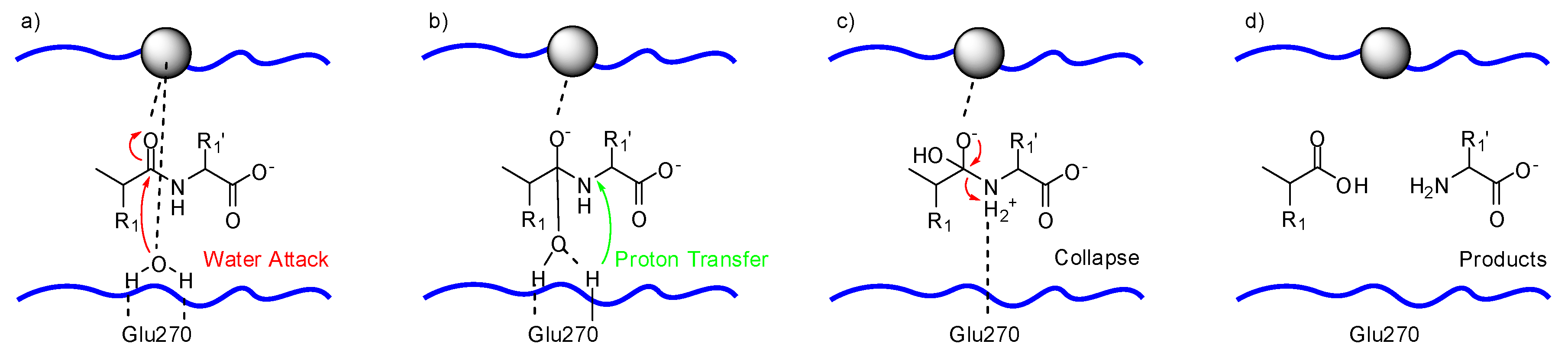 Molecules 24 02265 g002