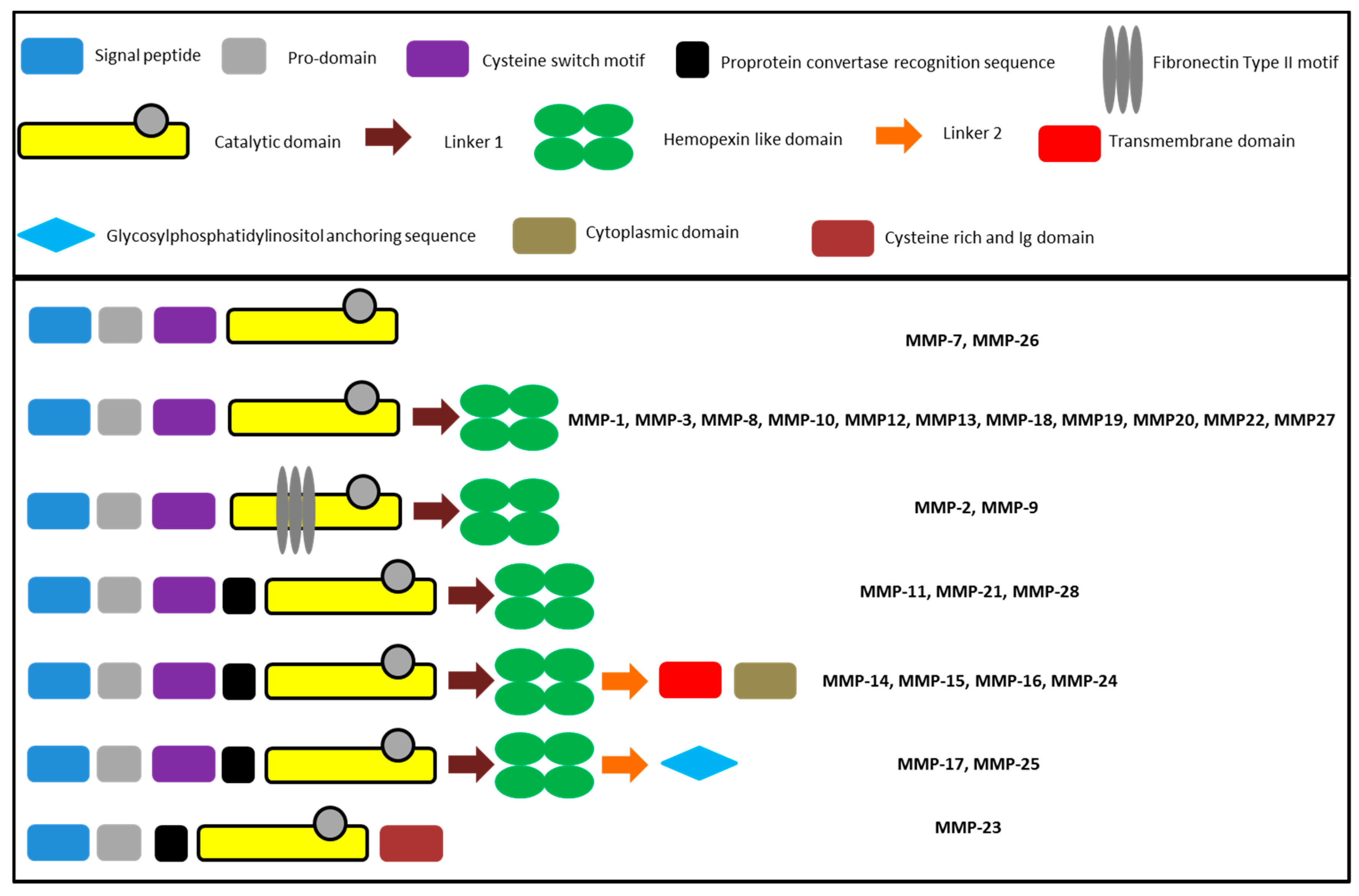 Molecules 24 02265 g003