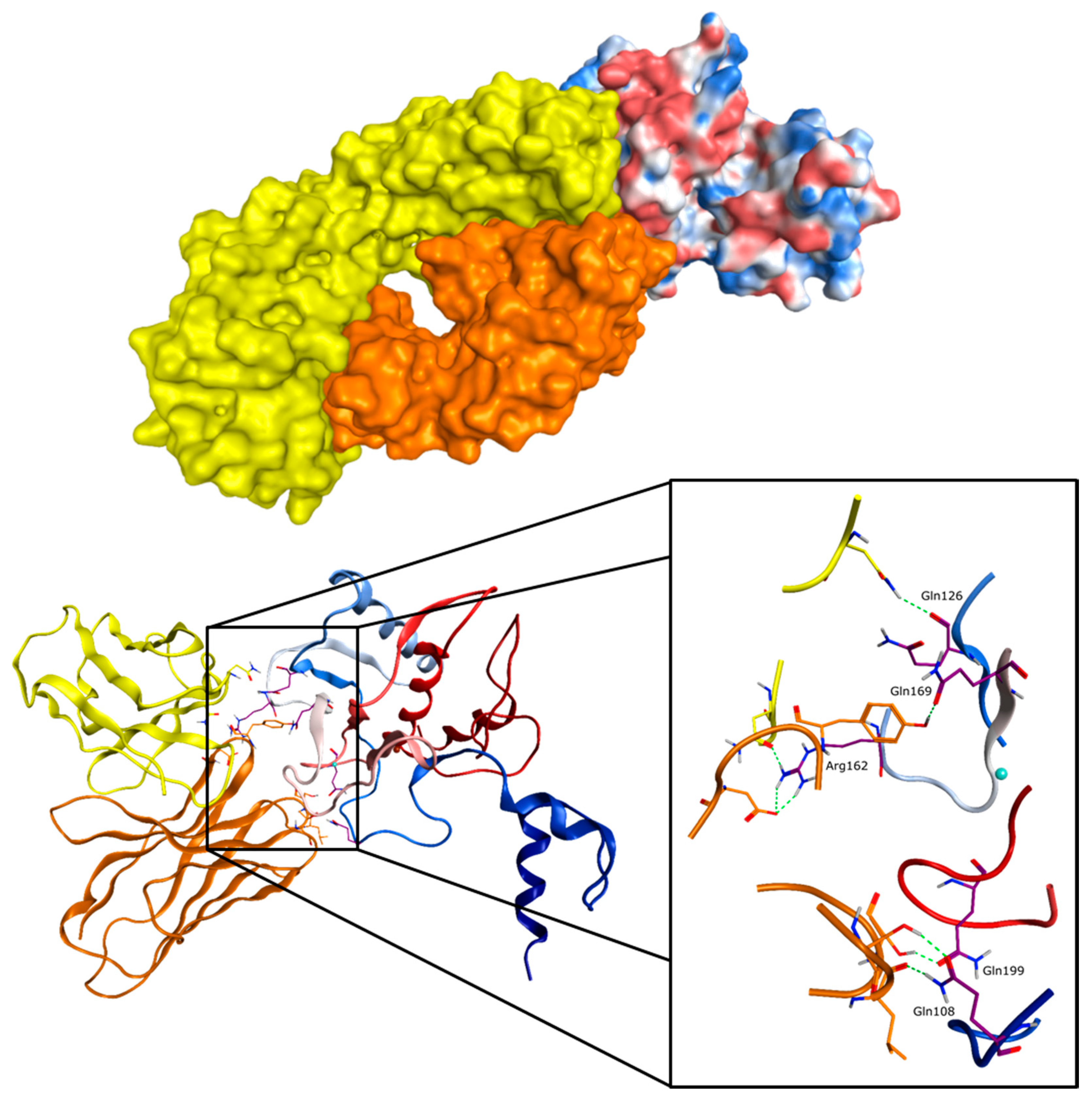 Molecules 24 02265 g007