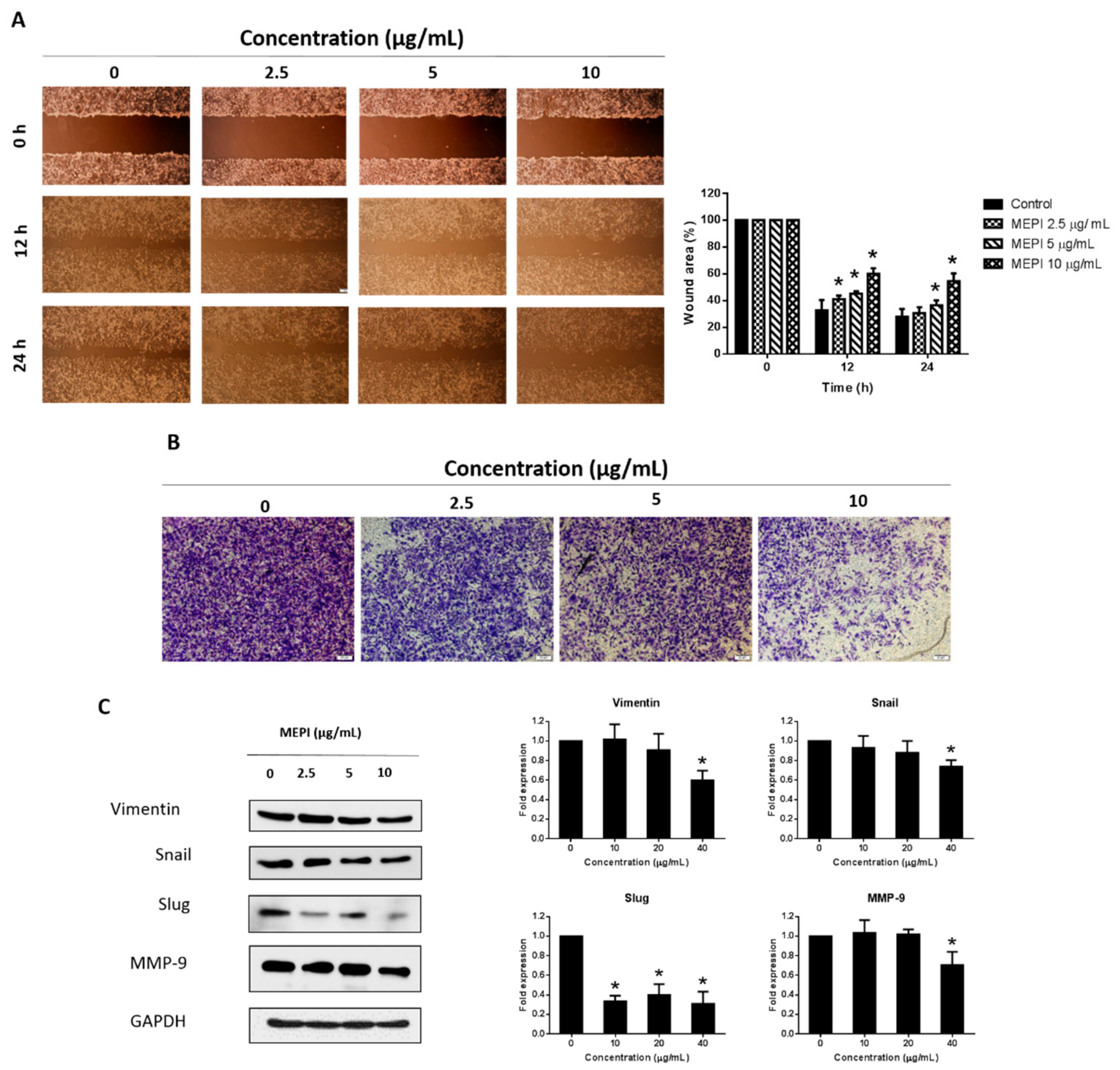 Molecules 24 02273 g002
