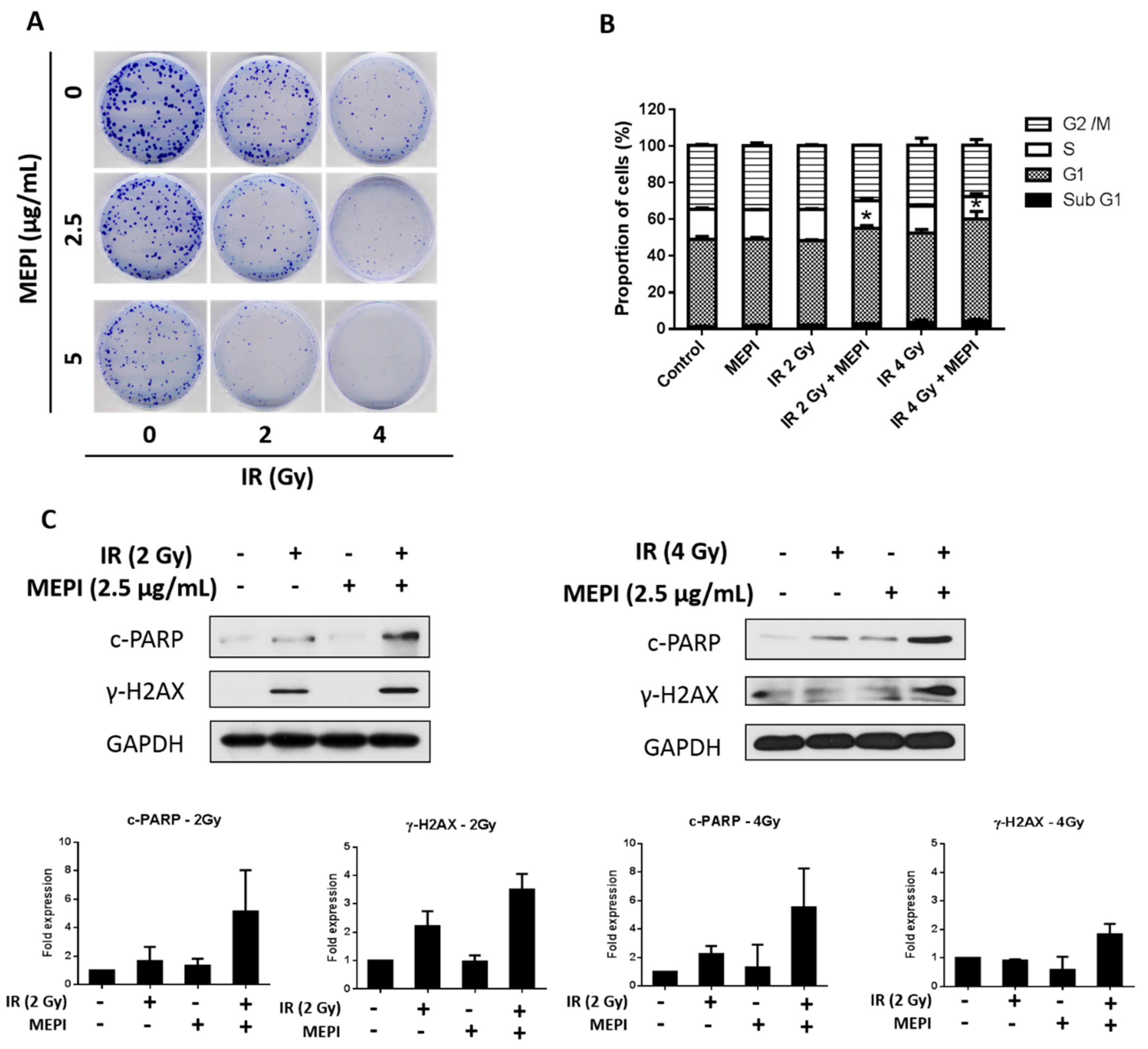 Molecules 24 02273 g005