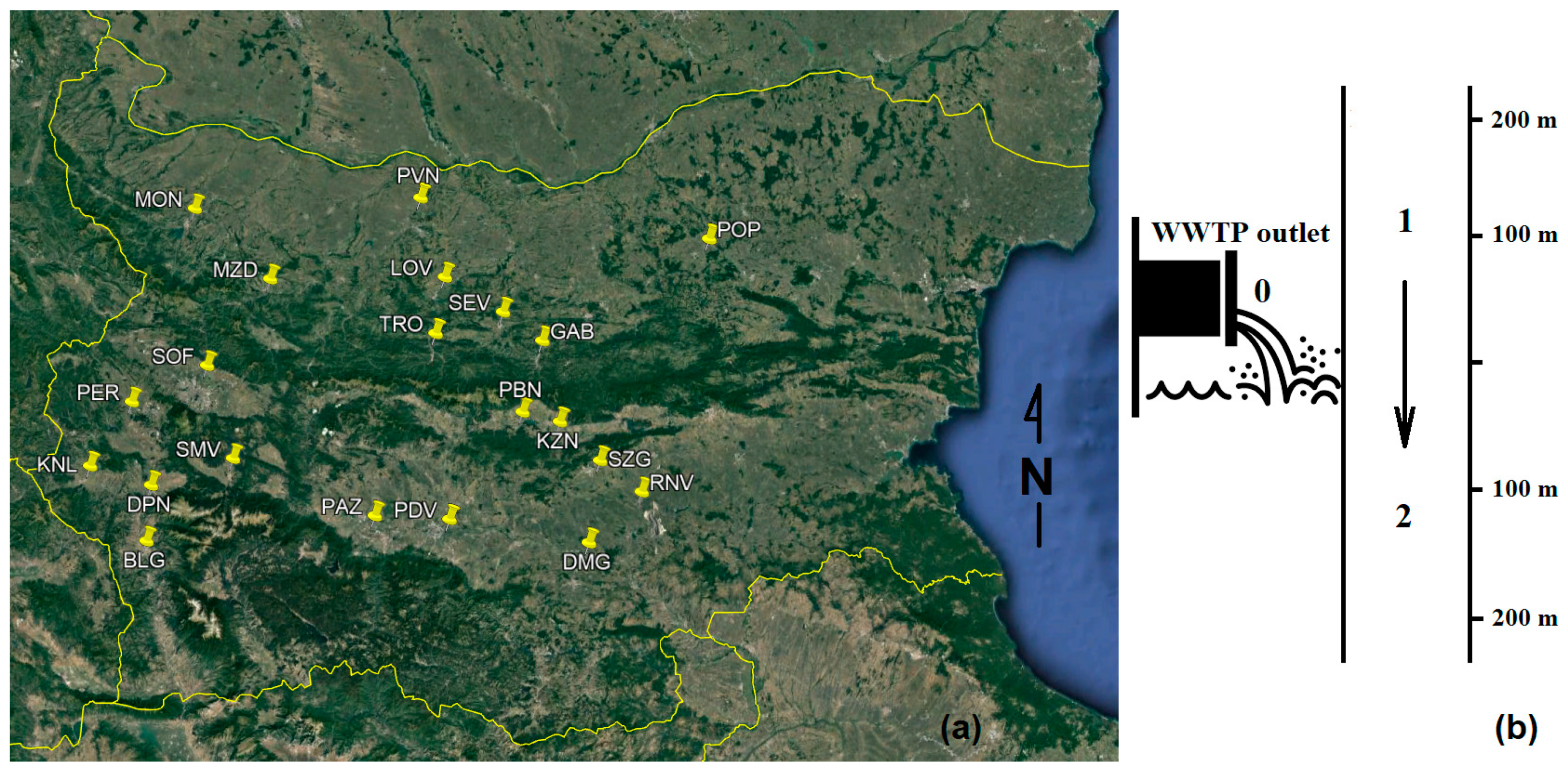 Molecules 24 02274 g001
