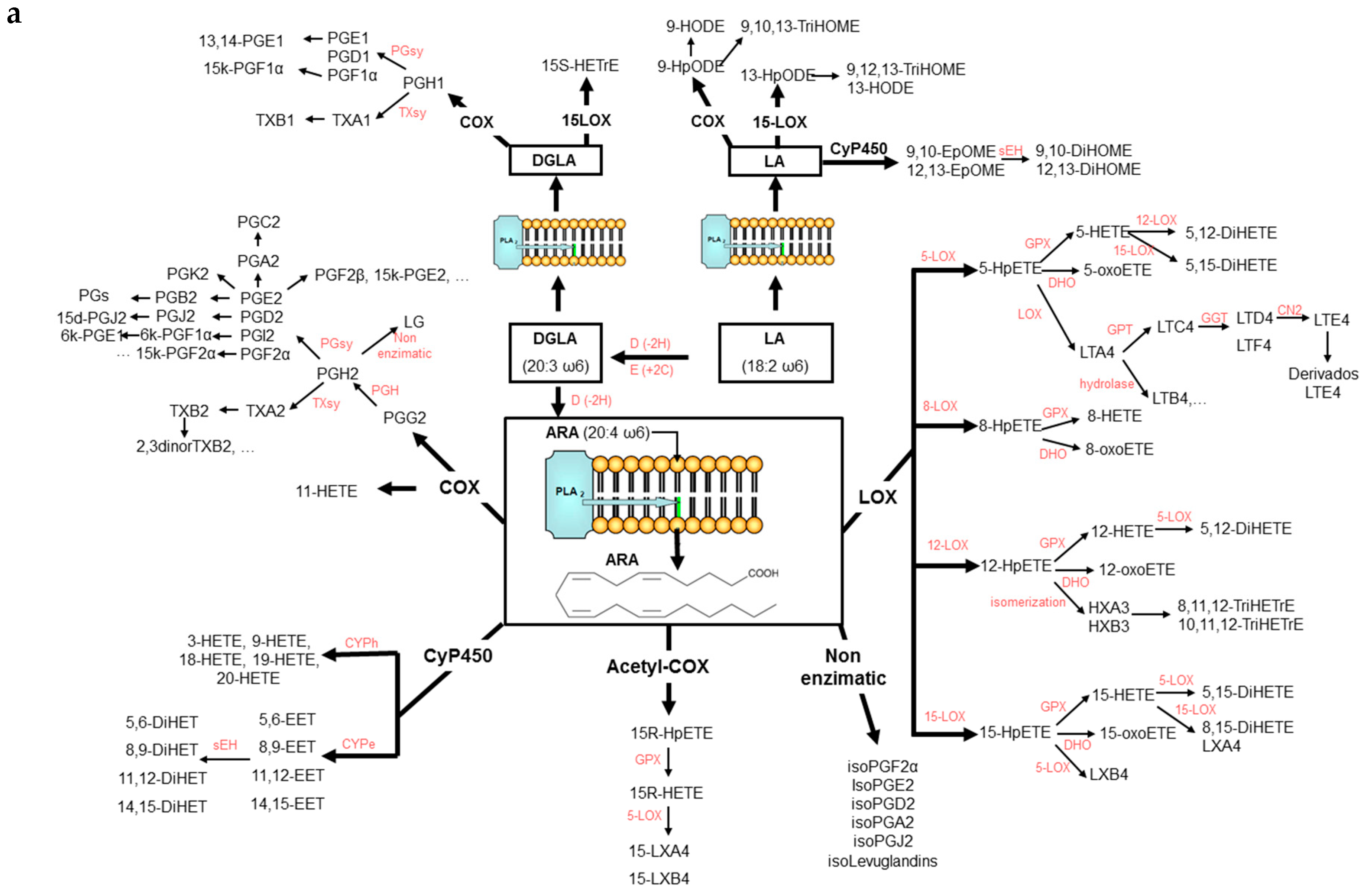 Molecules 24 02276 g001a