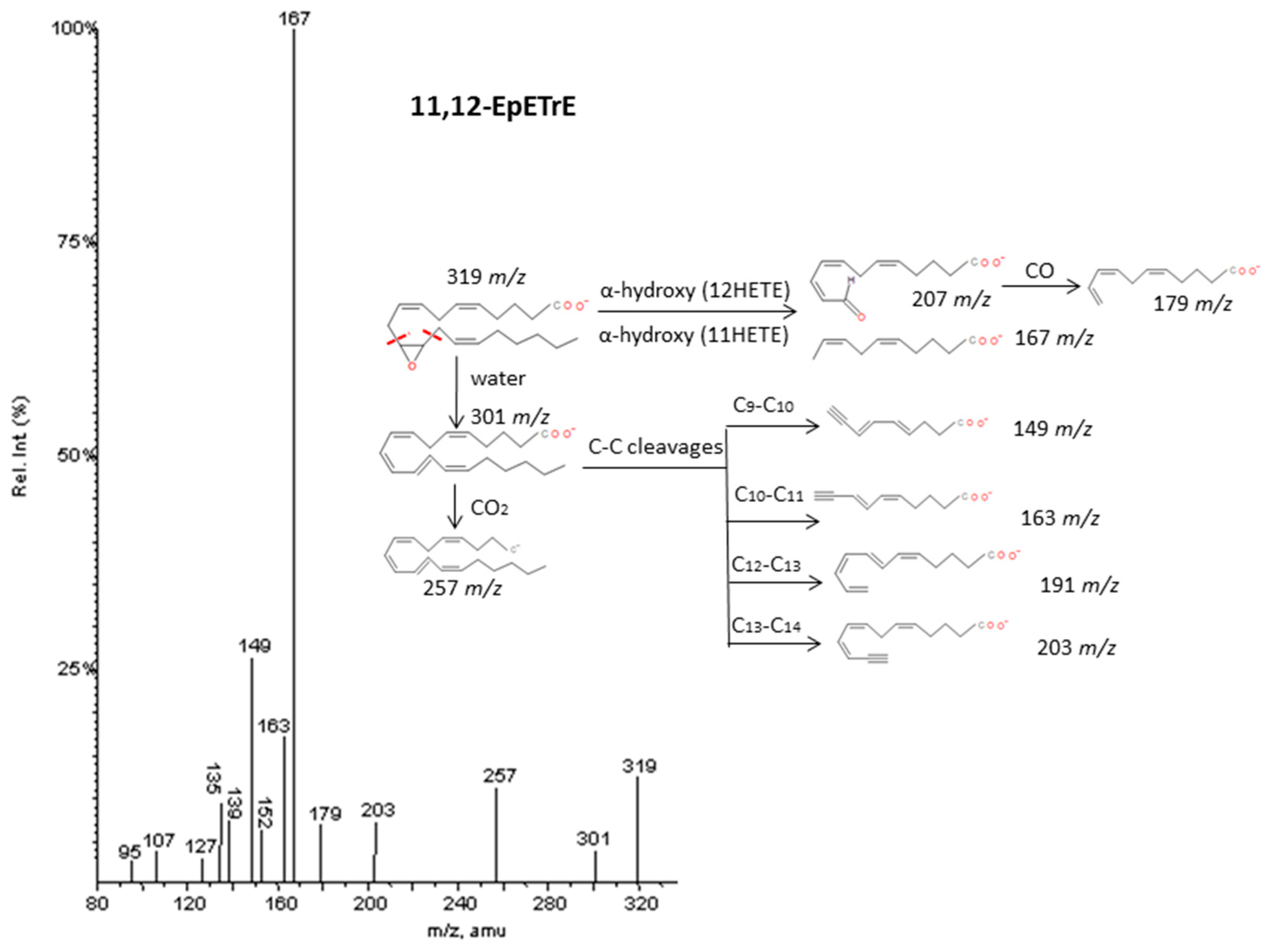 Molecules 24 02276 g007