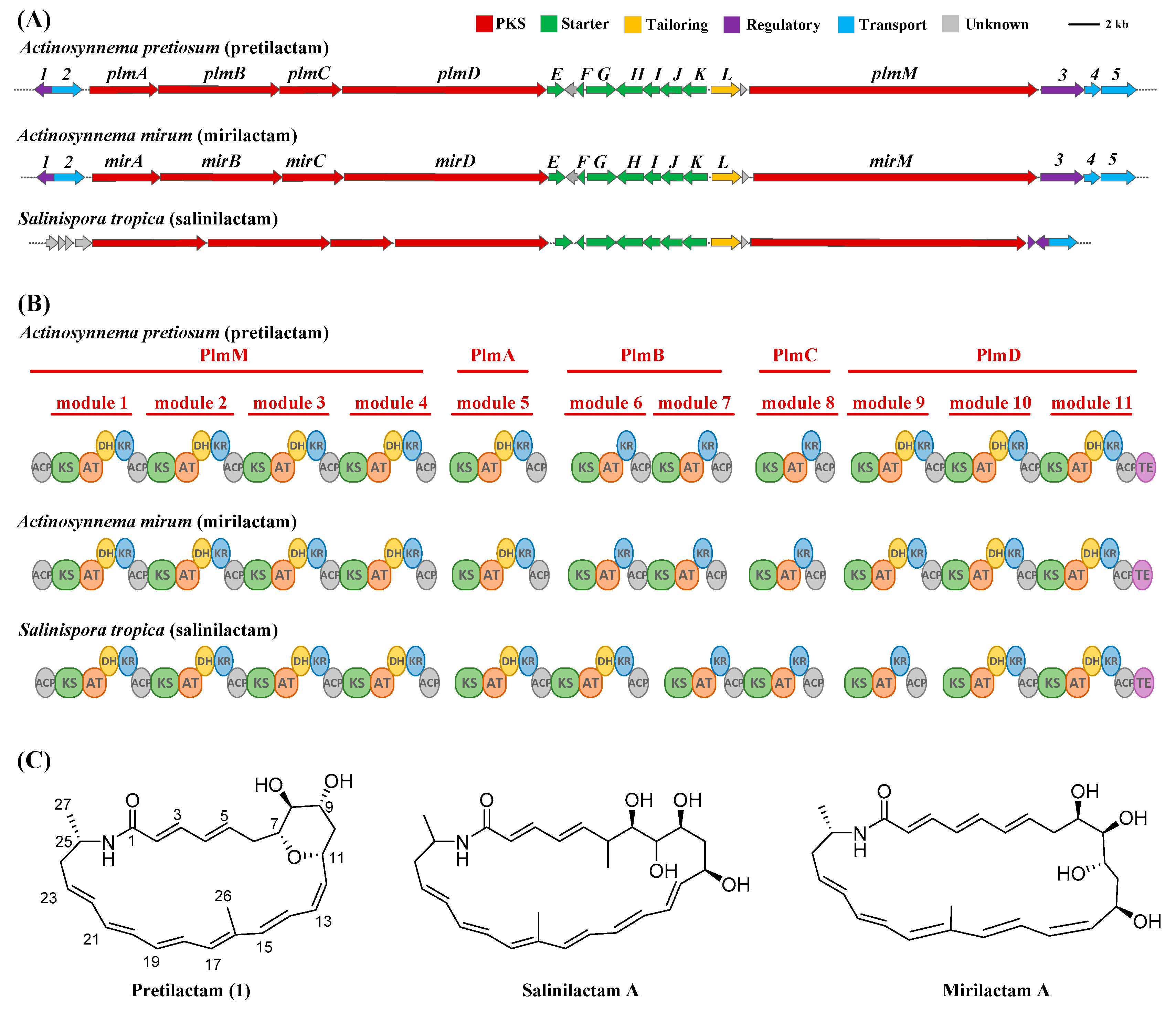 Molecules 24 02281 g001