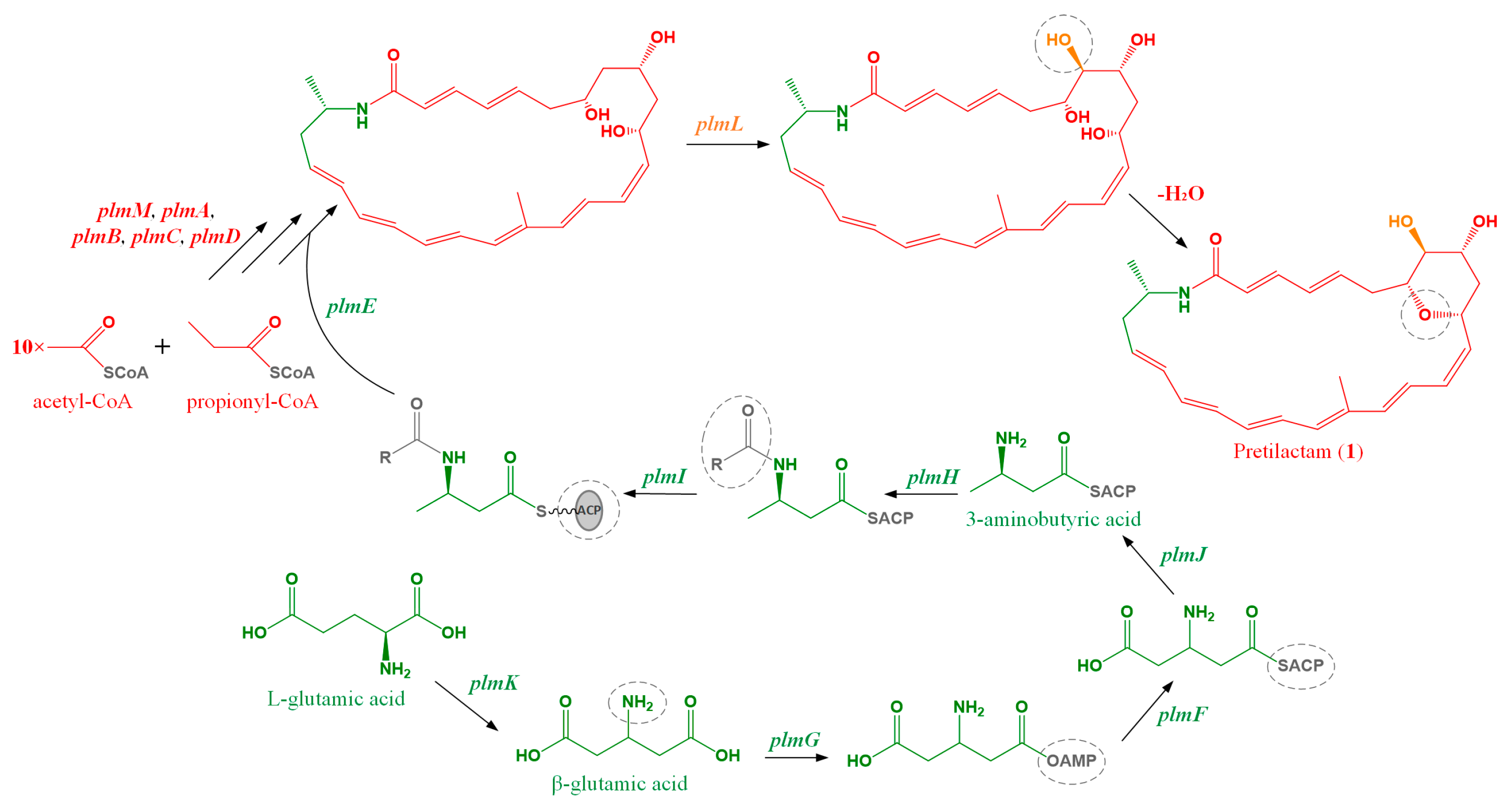 Molecules 24 02281 g004