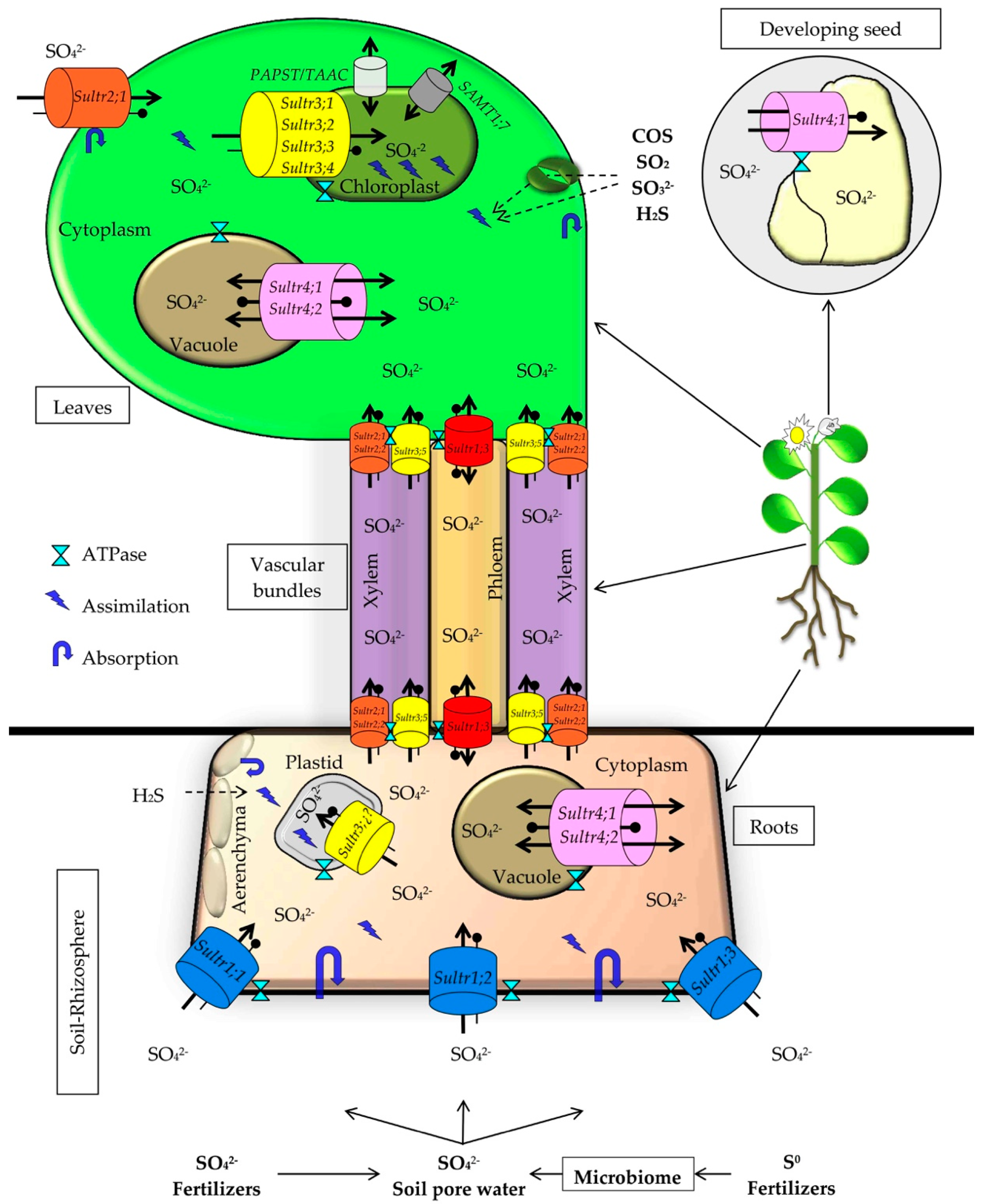 Molecules 24 02282 g003 Molecules 24 02282 g003