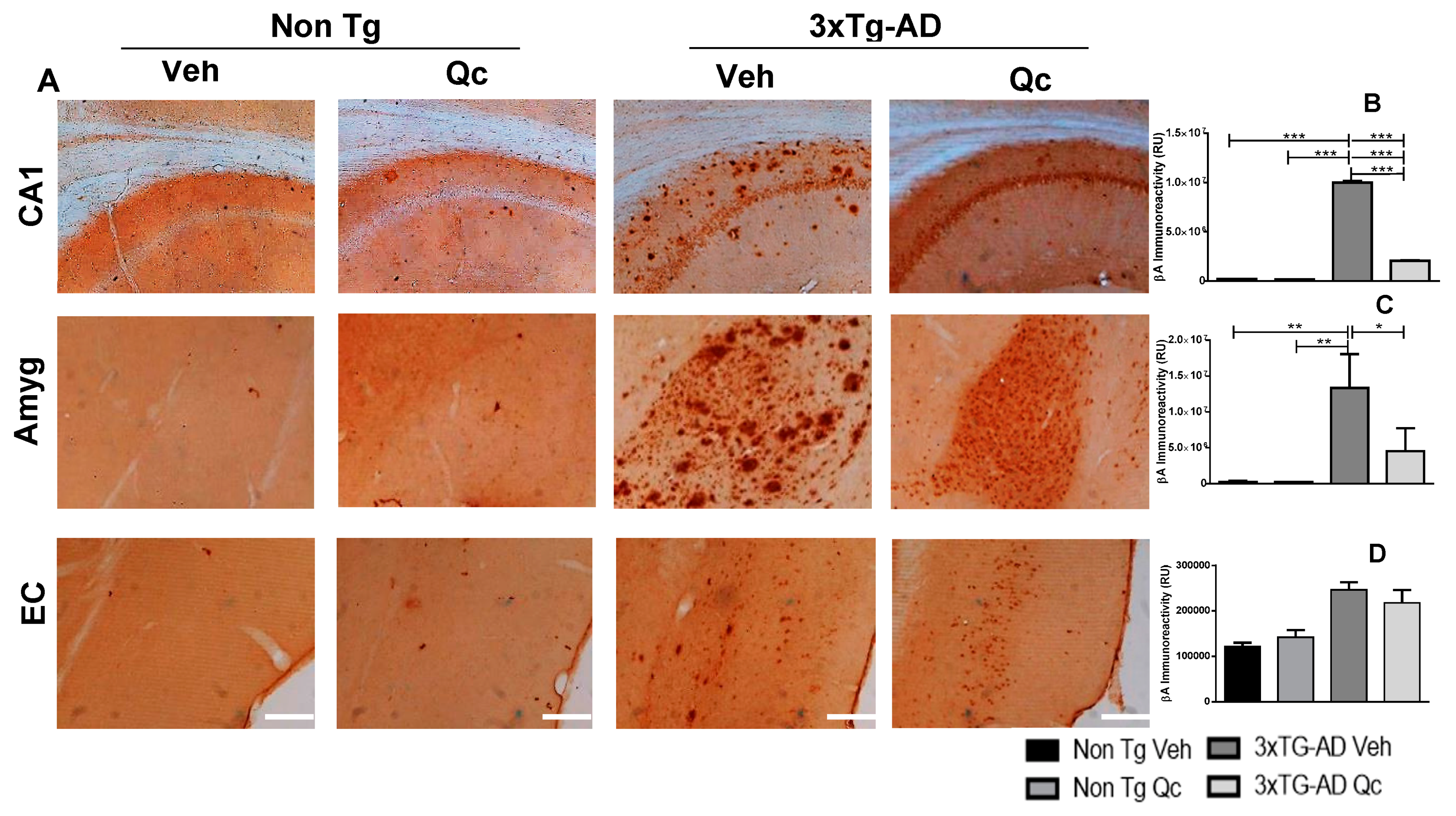 Molecules 24 02287 g001