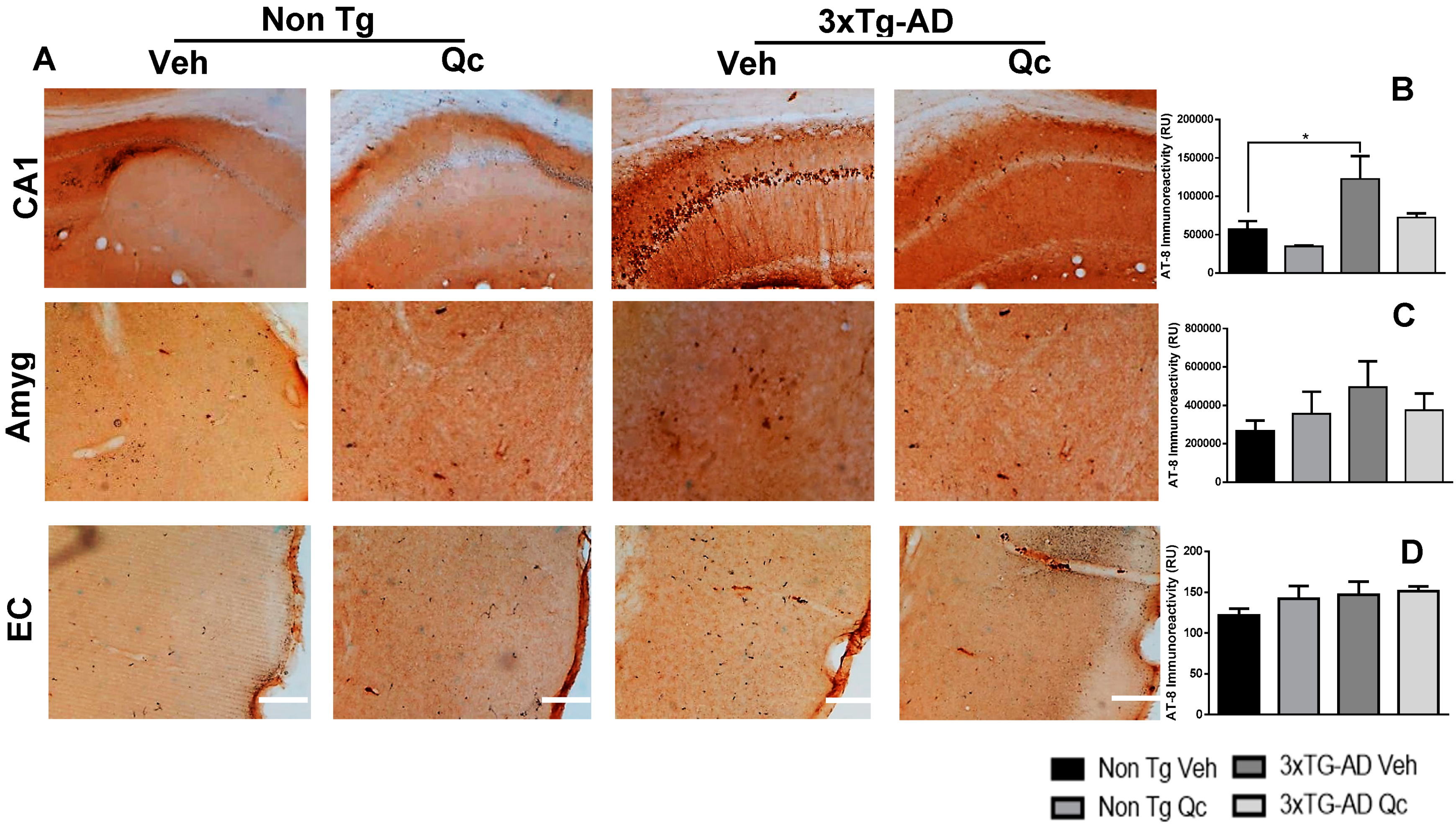 Molecules 24 02287 g002