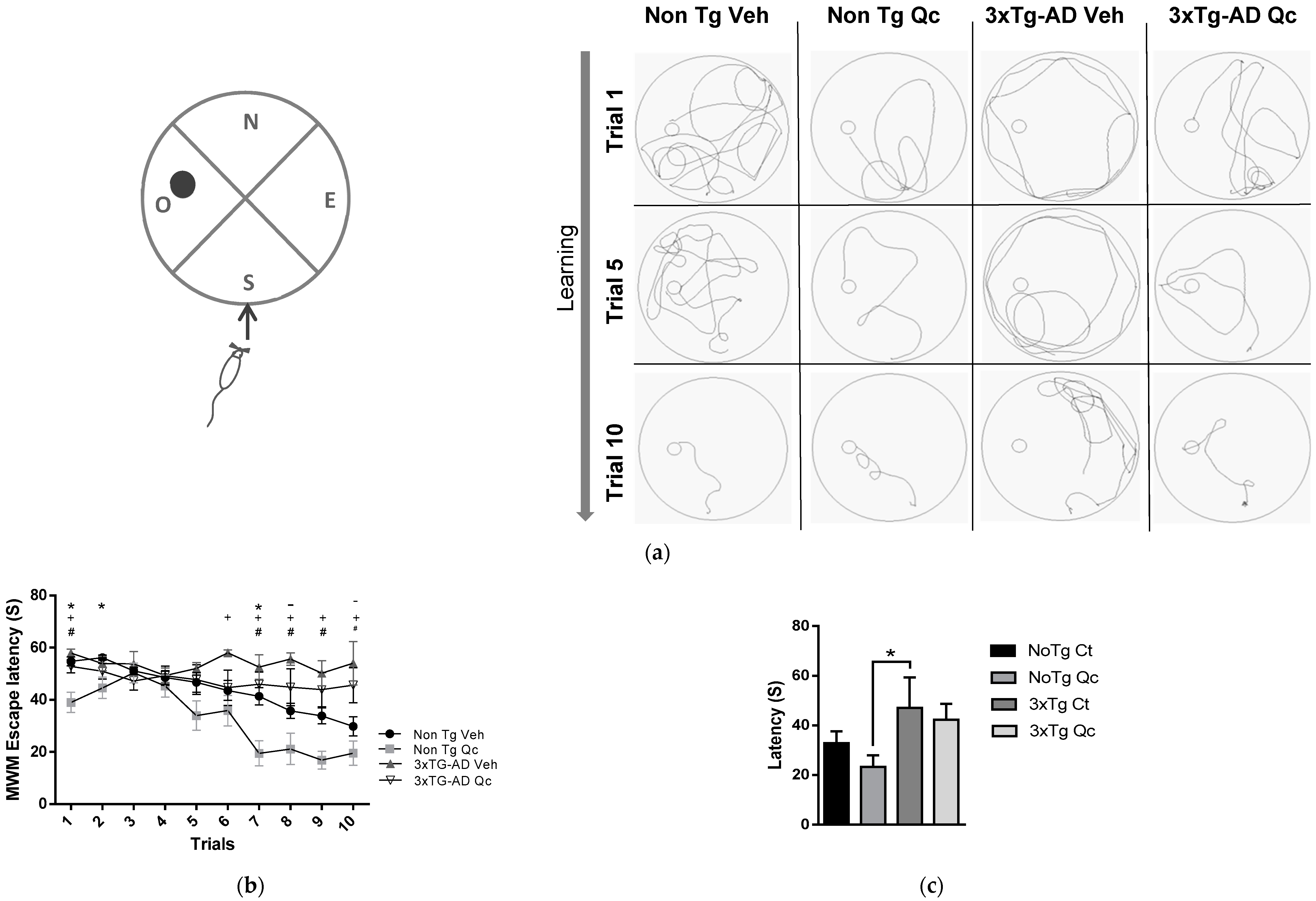 Molecules 24 02287 g003