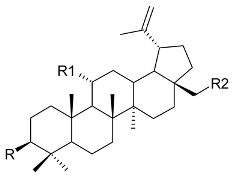 Molecules 24 02288 i011