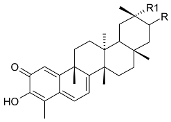 Molecules 24 02288 i014