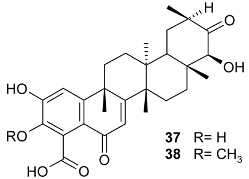 Molecules 24 02288 i019