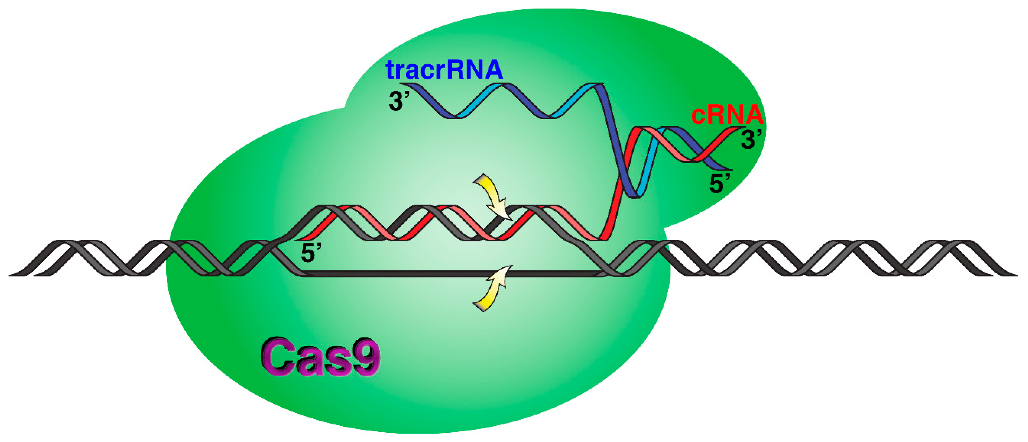 Molecules 24 02297 g002 Molecules 24 02297 g002