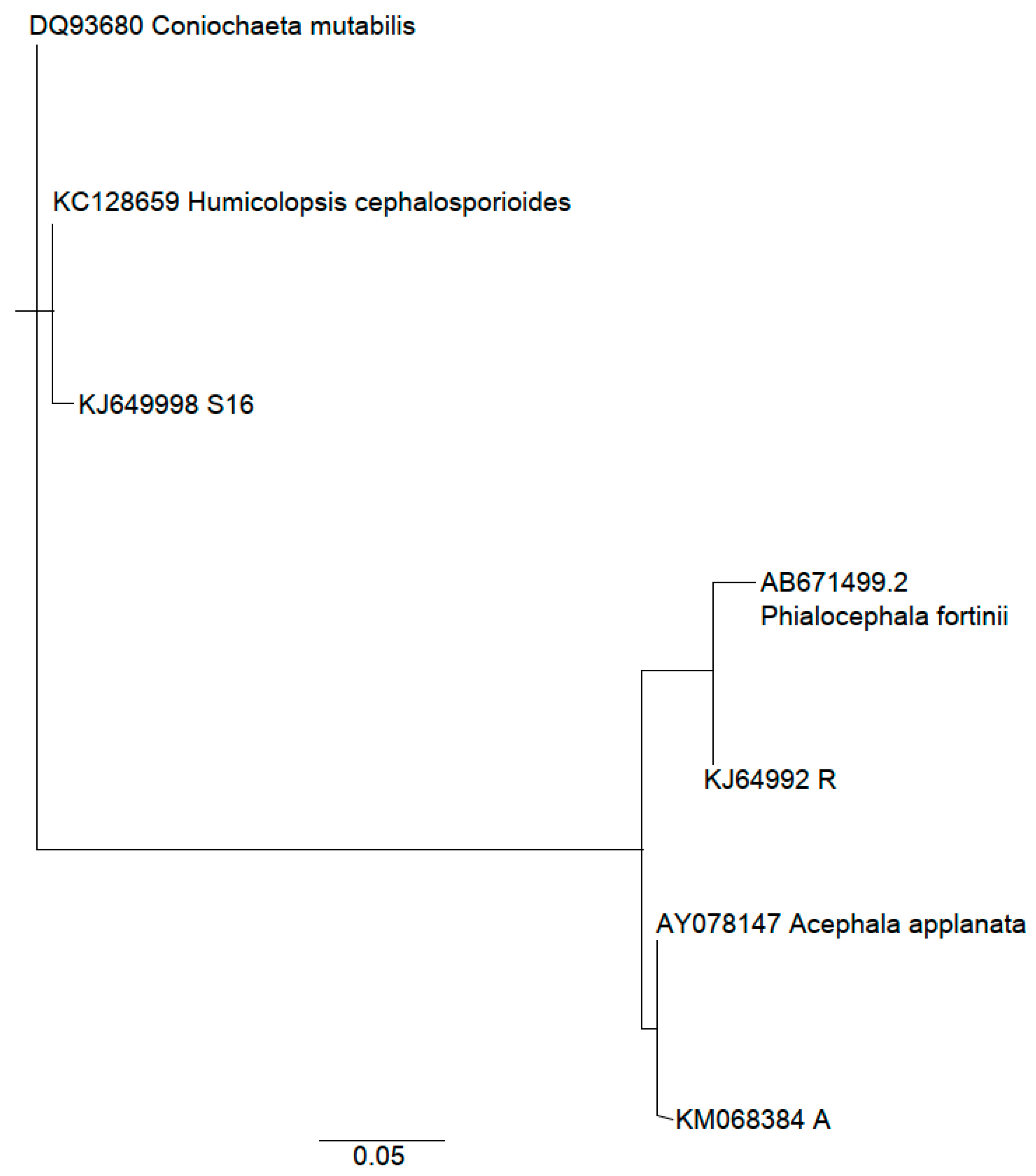 Molecules 24 02330 g001 Molecules 24 02330 g001
