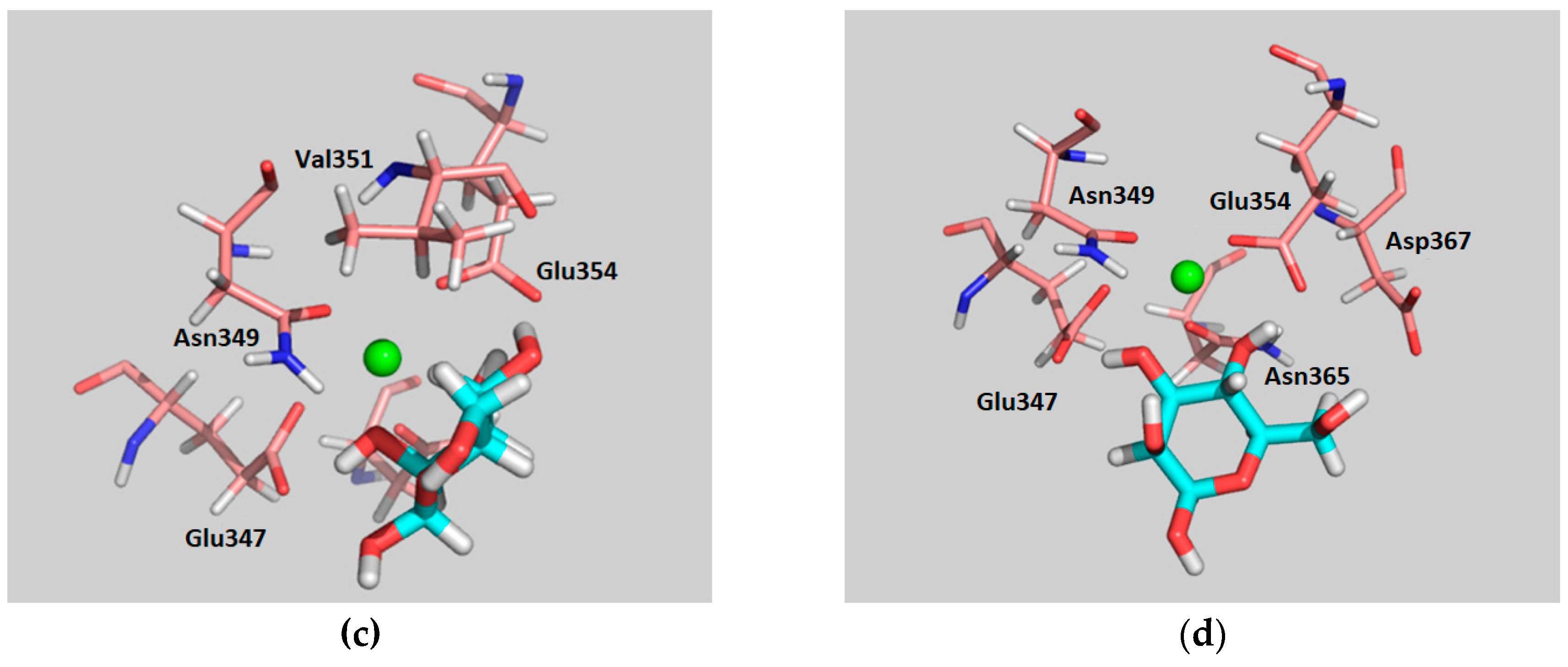 Molecules 24 02337 g007b Molecules 24 02337 g007b