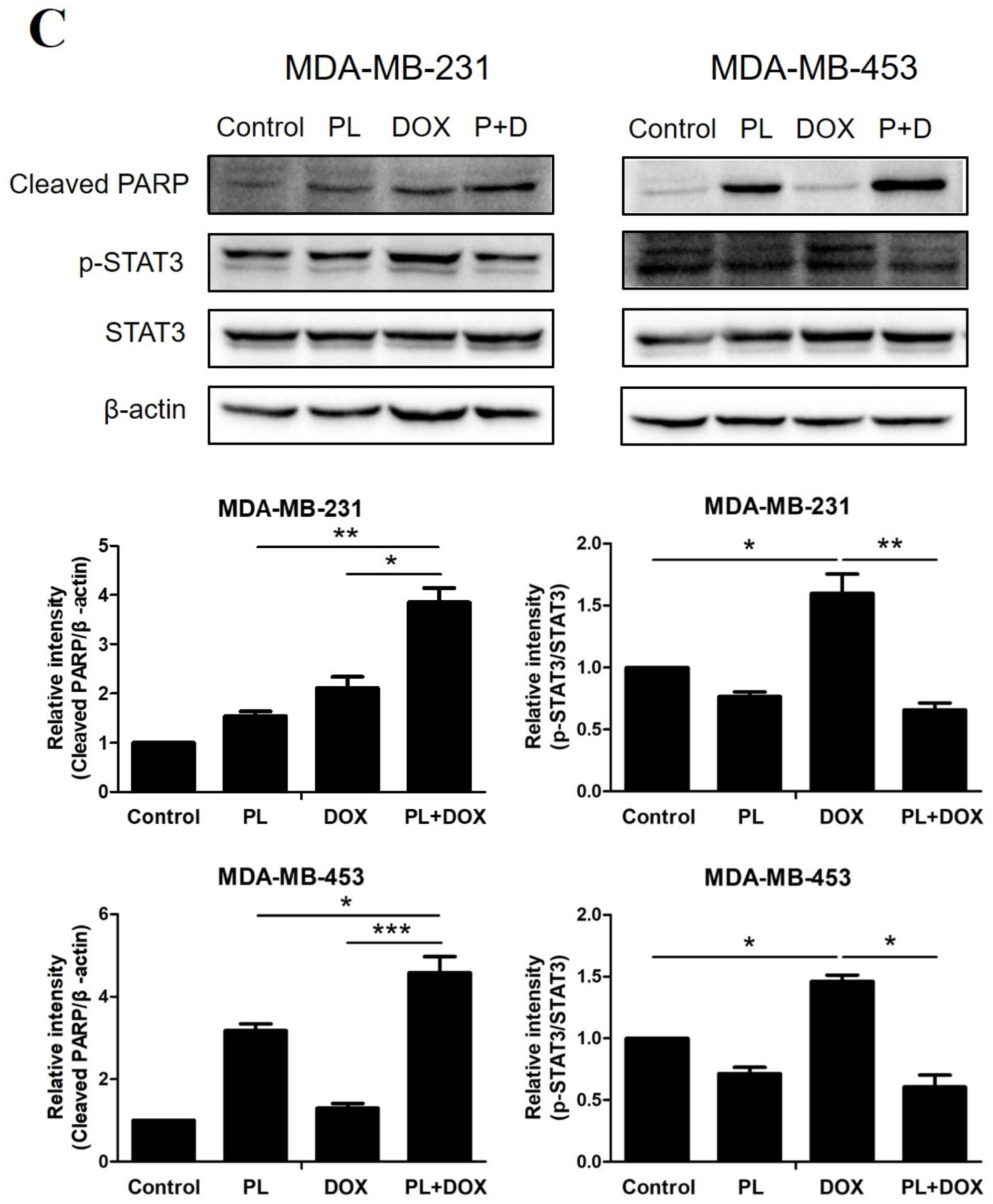 Molecules 24 02338 g005b Molecules 24 02338 g005b
