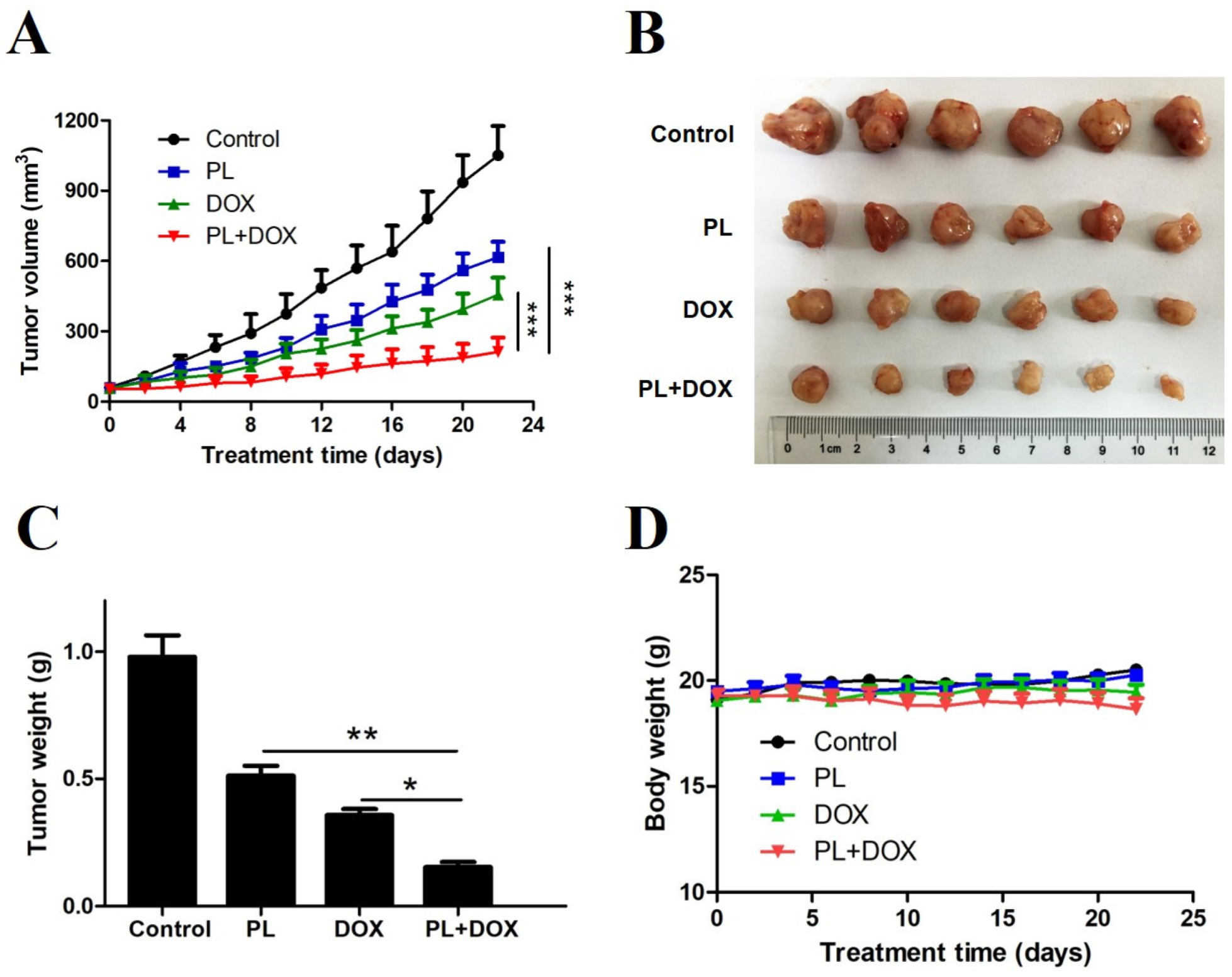 Molecules 24 02338 g006 Molecules 24 02338 g006
